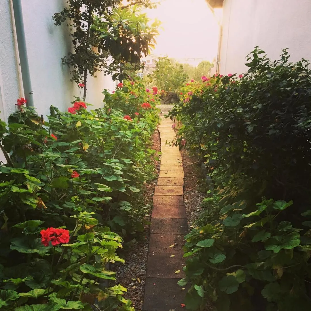 Garden in Bare Hill Holiday Apartments