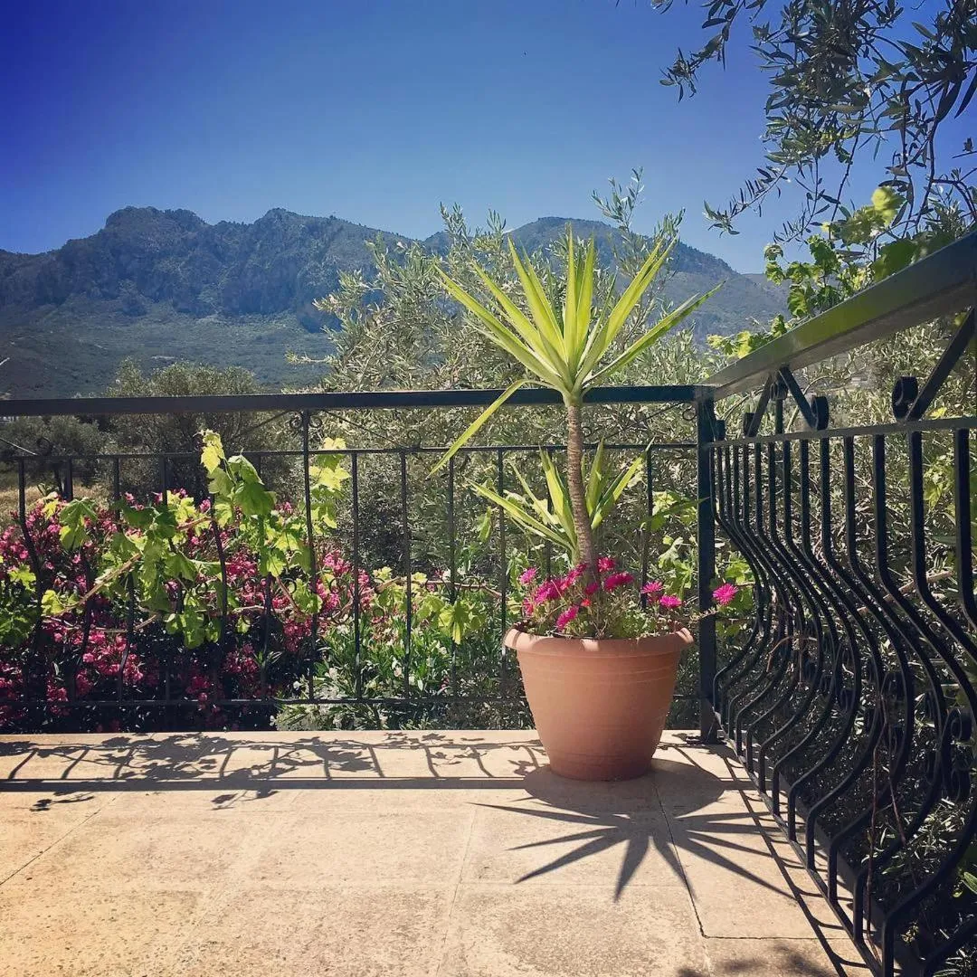 Balcony/Terrace in Bare Hill Holiday Apartments
