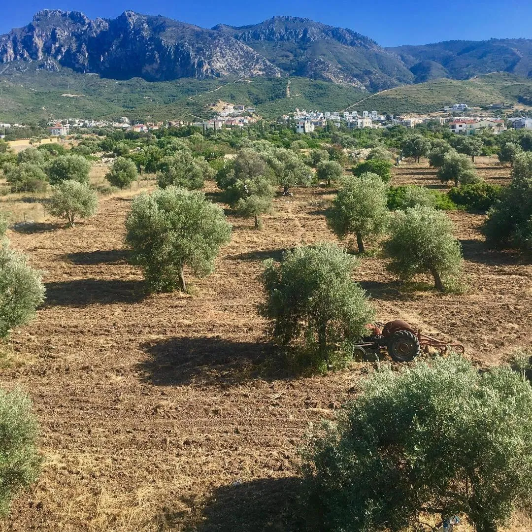 Natural landscape in Bare Hill Holiday Apartments