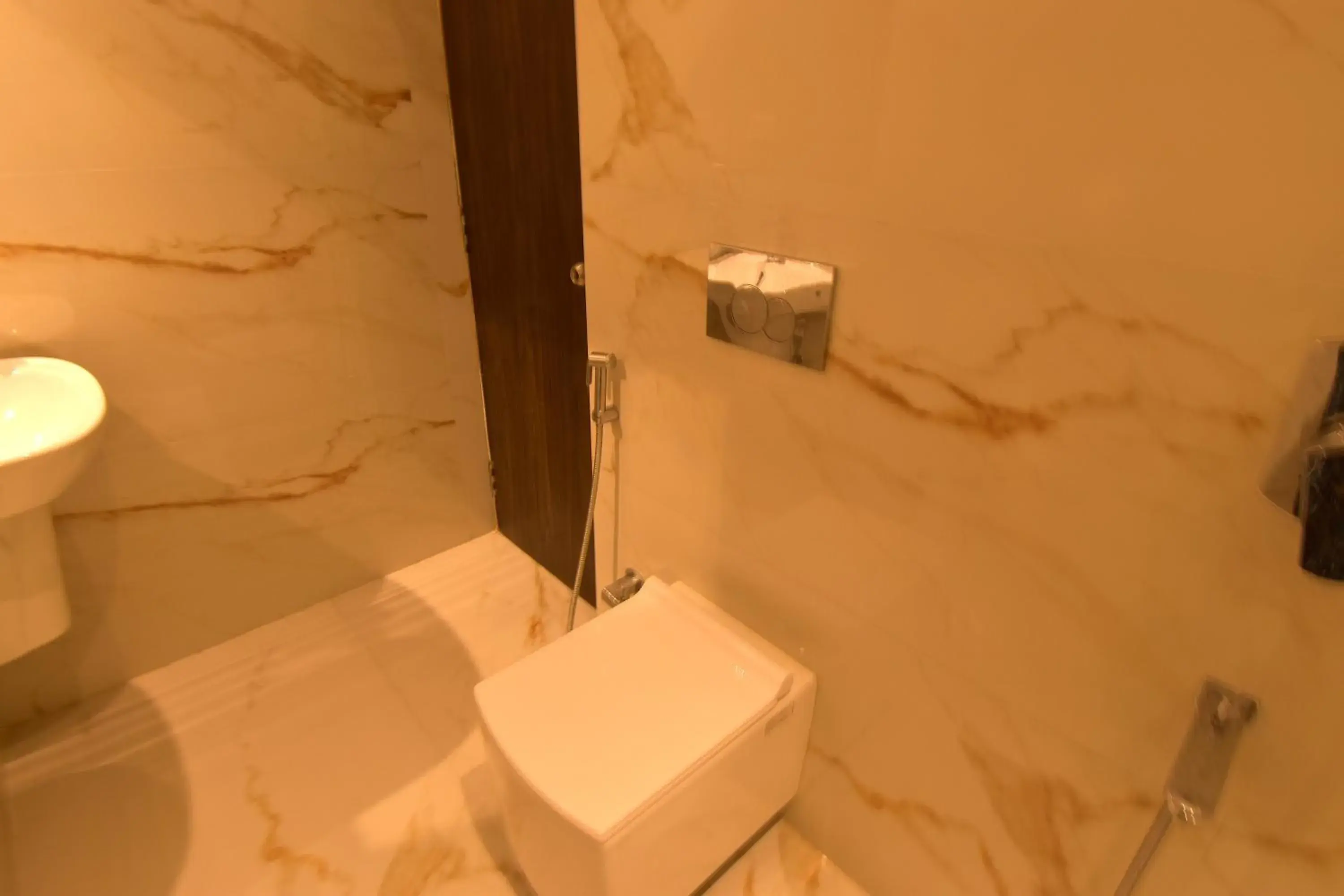 Executive Suite in Sheldon Inn Kolkata Executive Suite in Sheldon Inn Kolkata