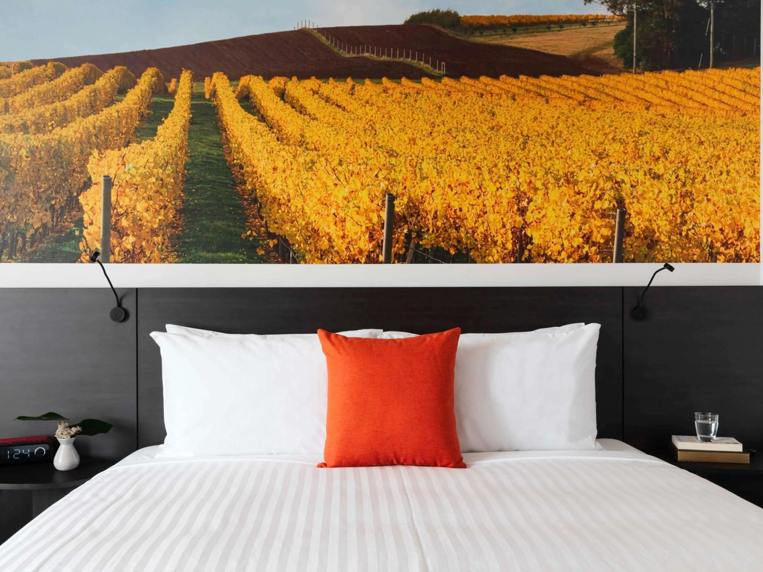 Standard King Room - single occupancy in Novotel Devonport