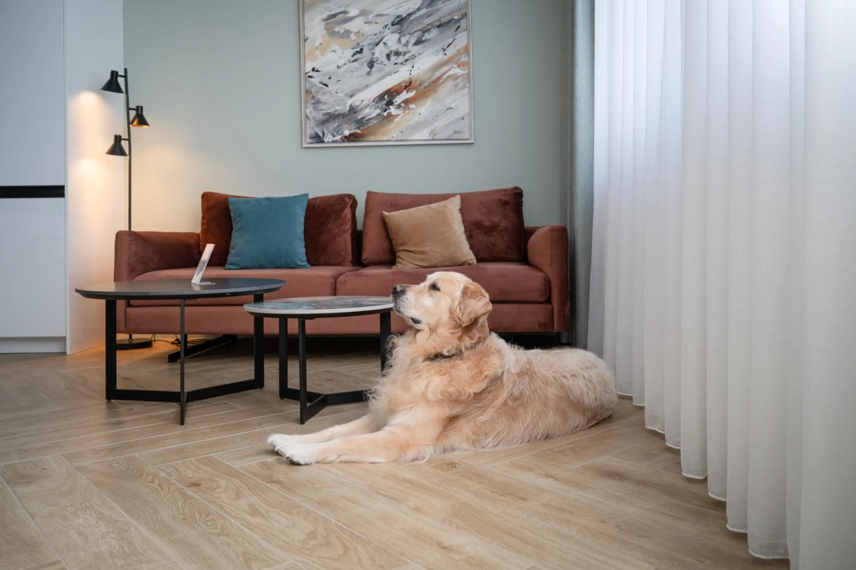 Pets in Hestia - Dimitressa 4