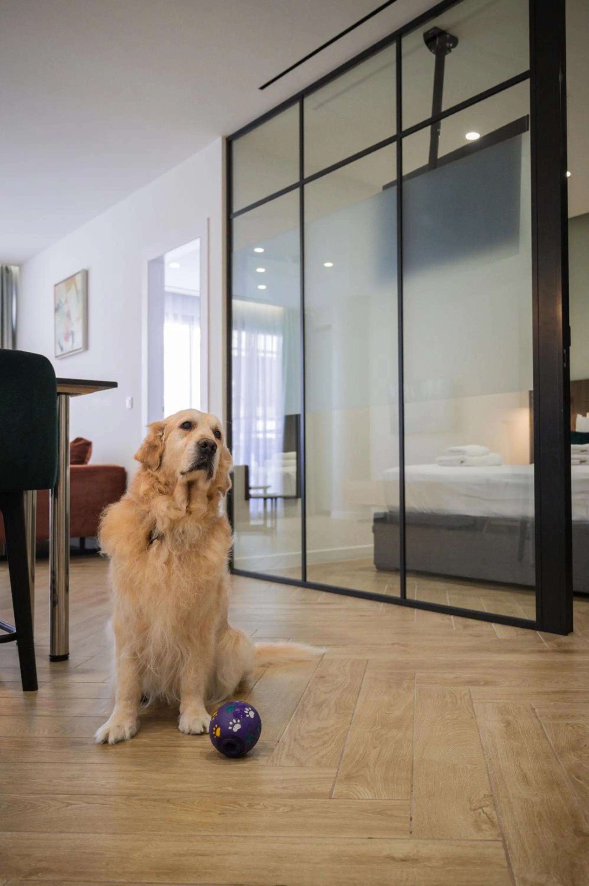 pet friendly in Hestia - Dimitressa 4