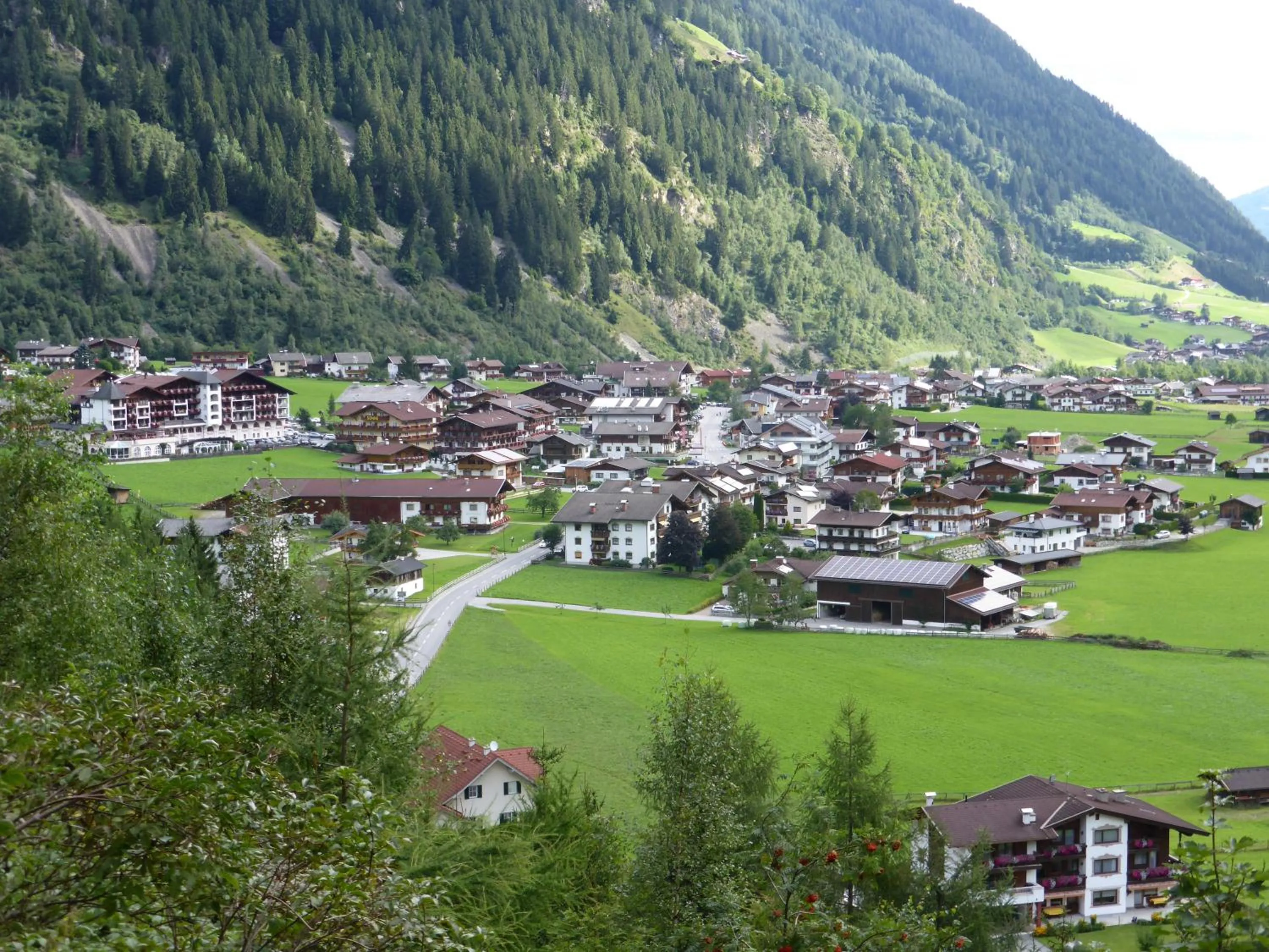 Pension Steinadler