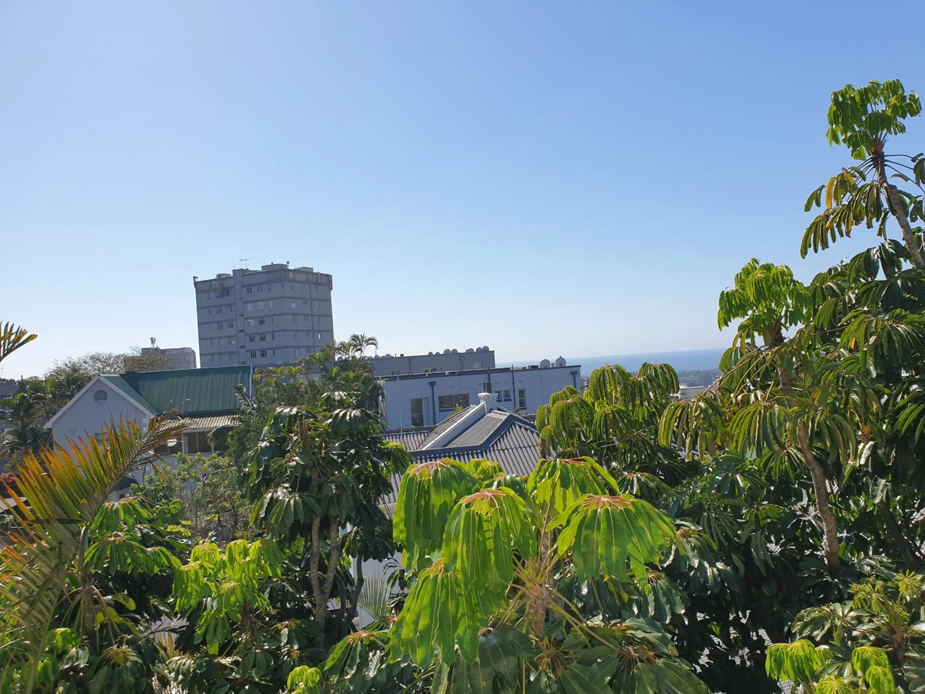 Spring in Cube Hotel