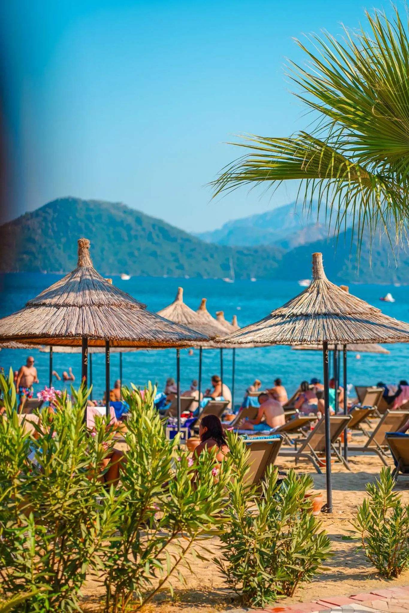 Natural landscape in Hotel Caprea