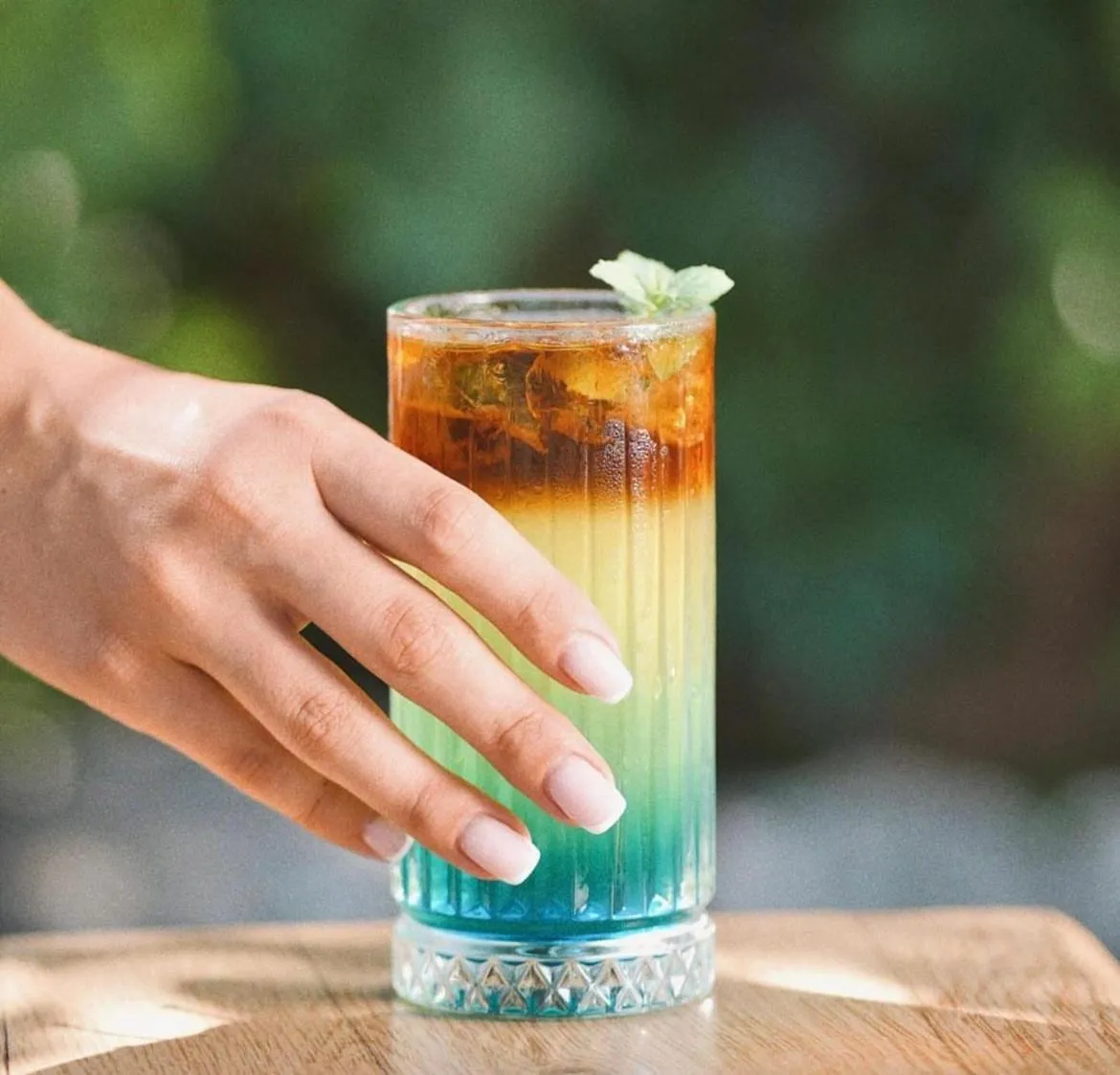 Lounge or bar in Hotel Caprea