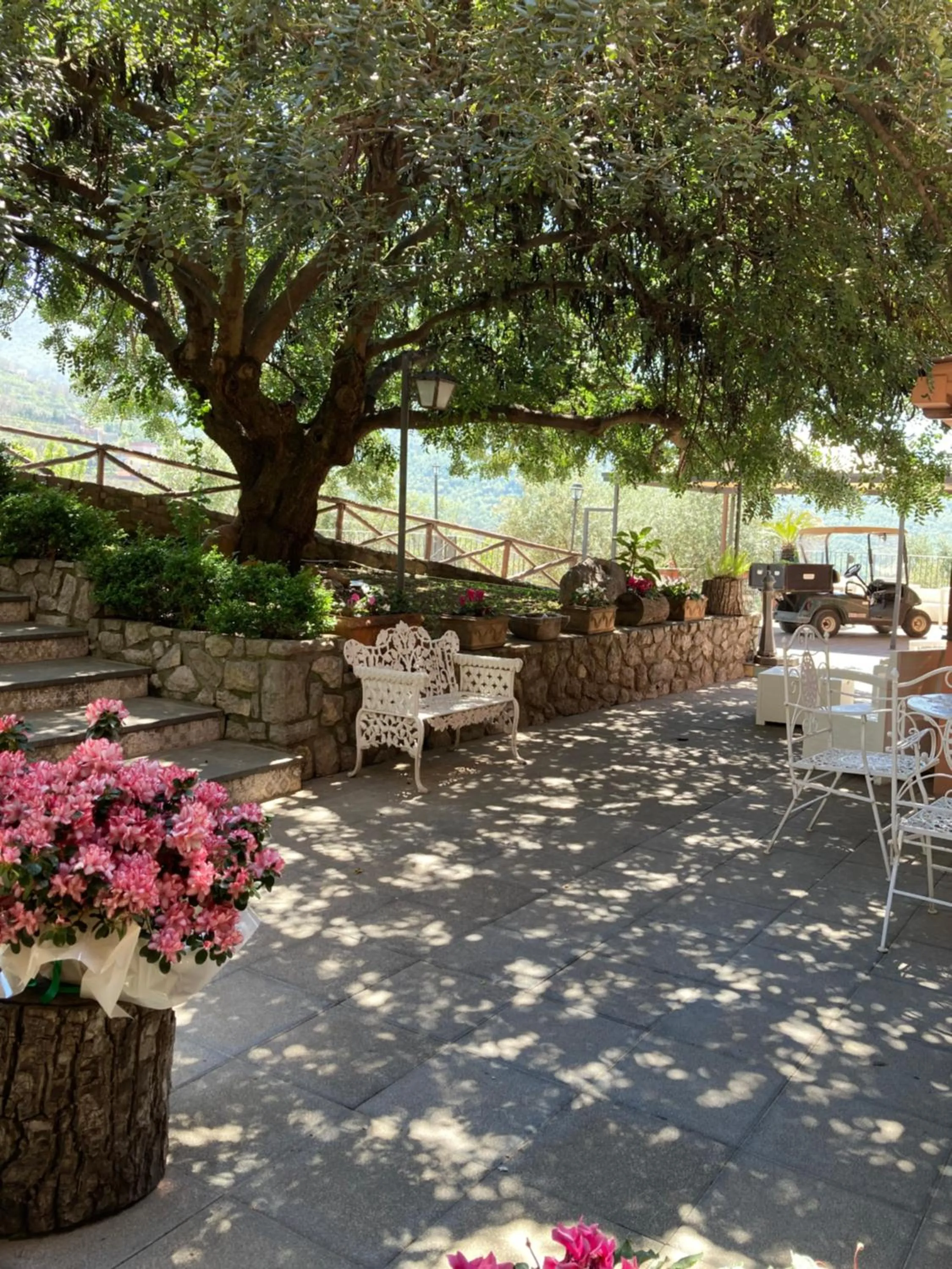 Agriturismo Nonno Luigino