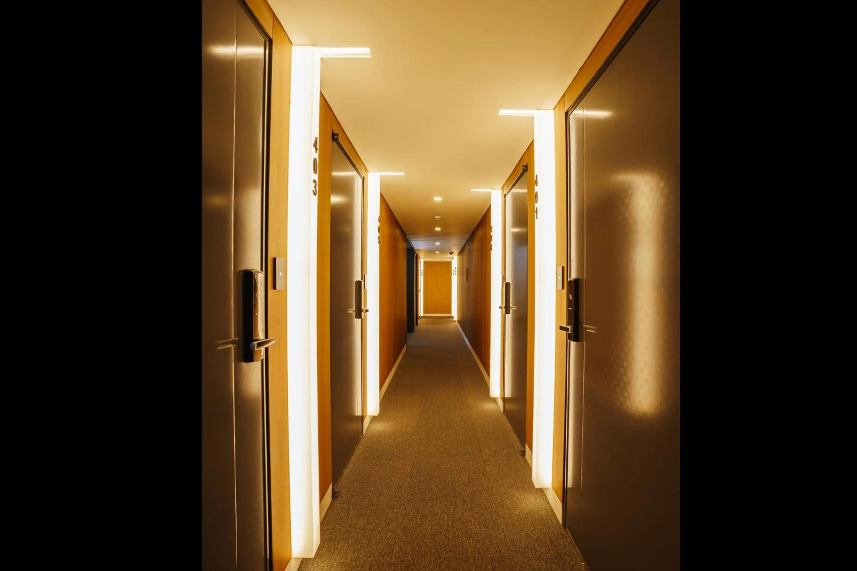 Area and facilities in Hotel Pico