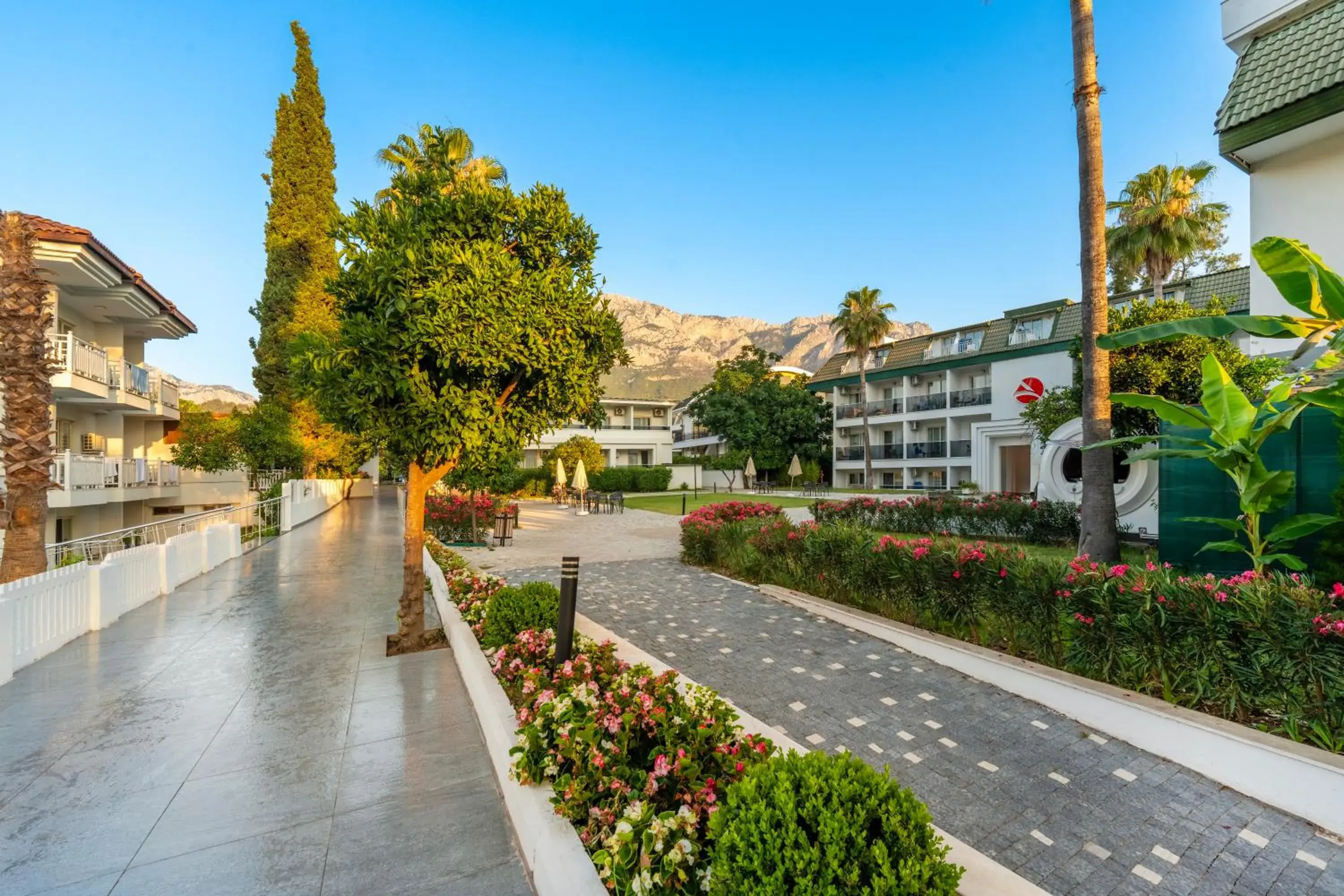 Property building in Armas Gul Beach Property building in Armas Gul Beach