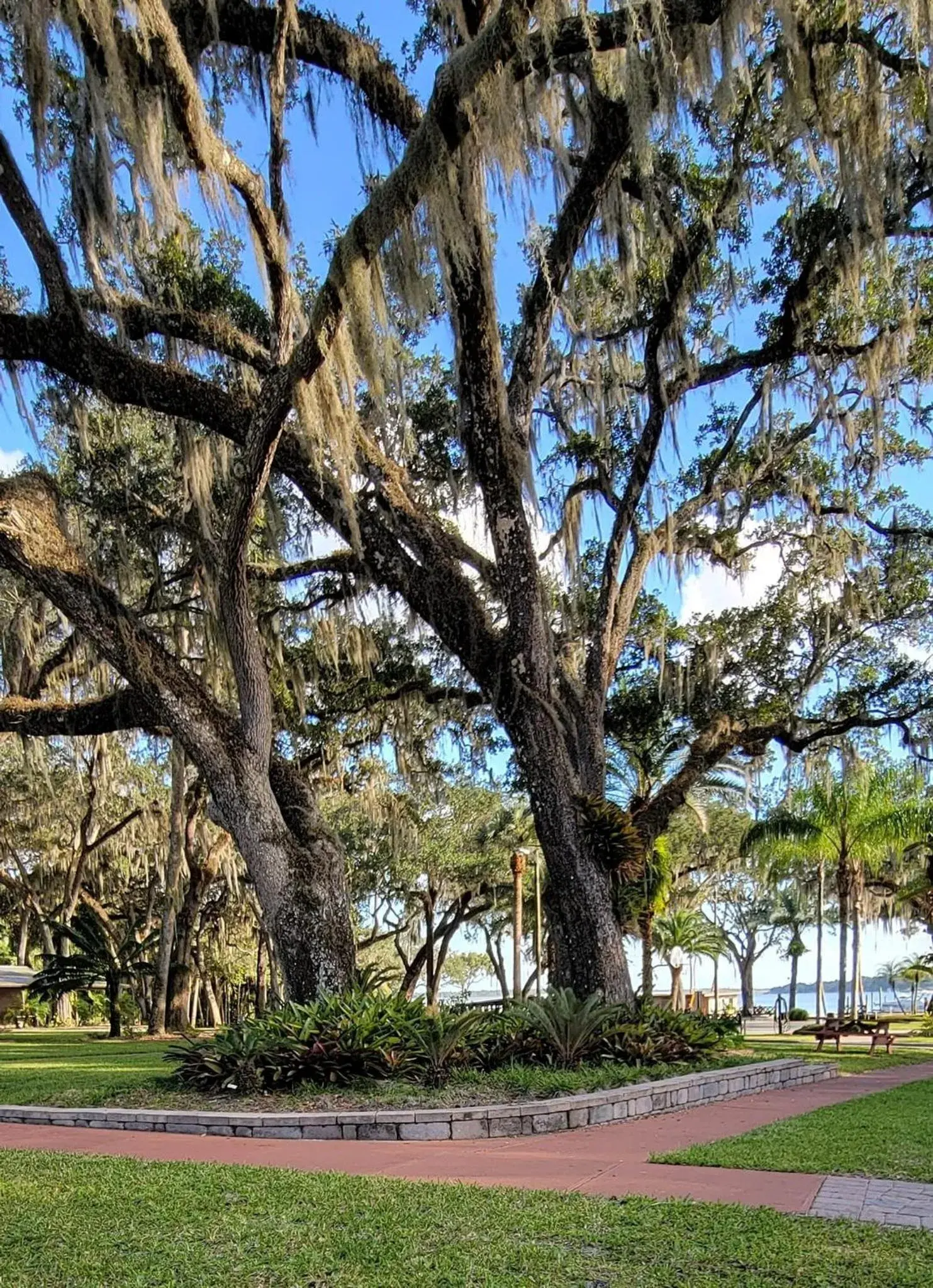 Tropical Marina & Resort on Lake Beresford Tropical Marina & Resort on Lake Beresford