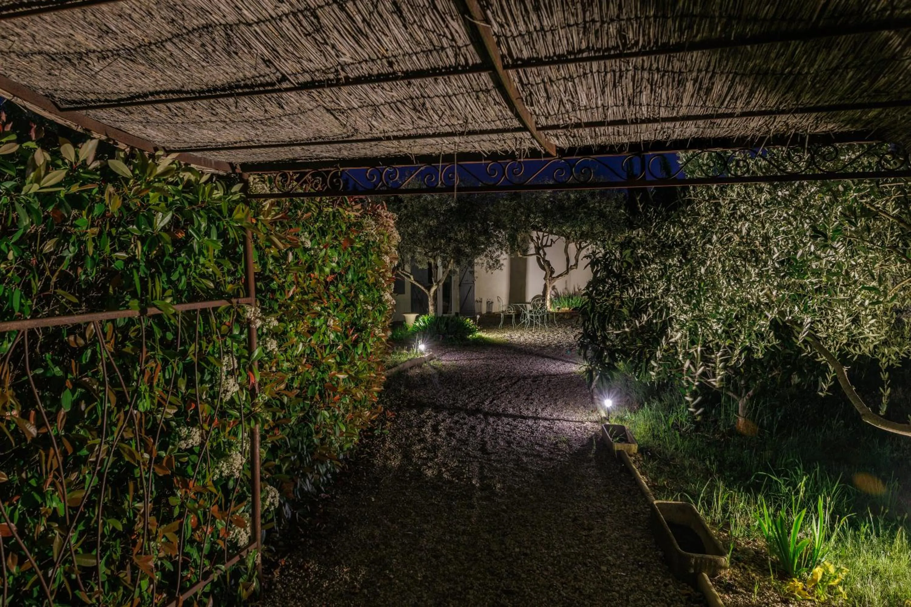 Garden in La Bastide du Mûrier