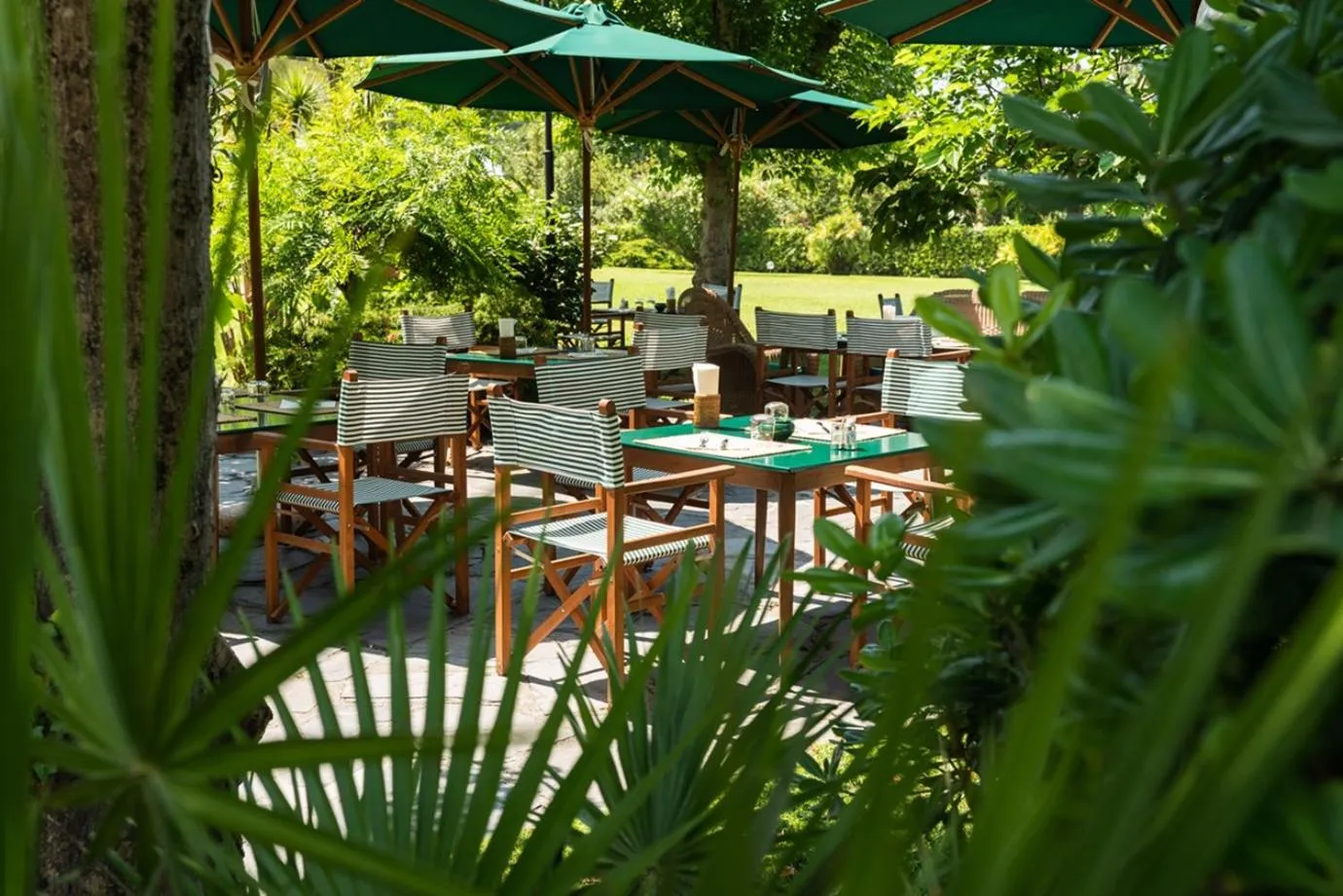 Garden in California Park Hotel