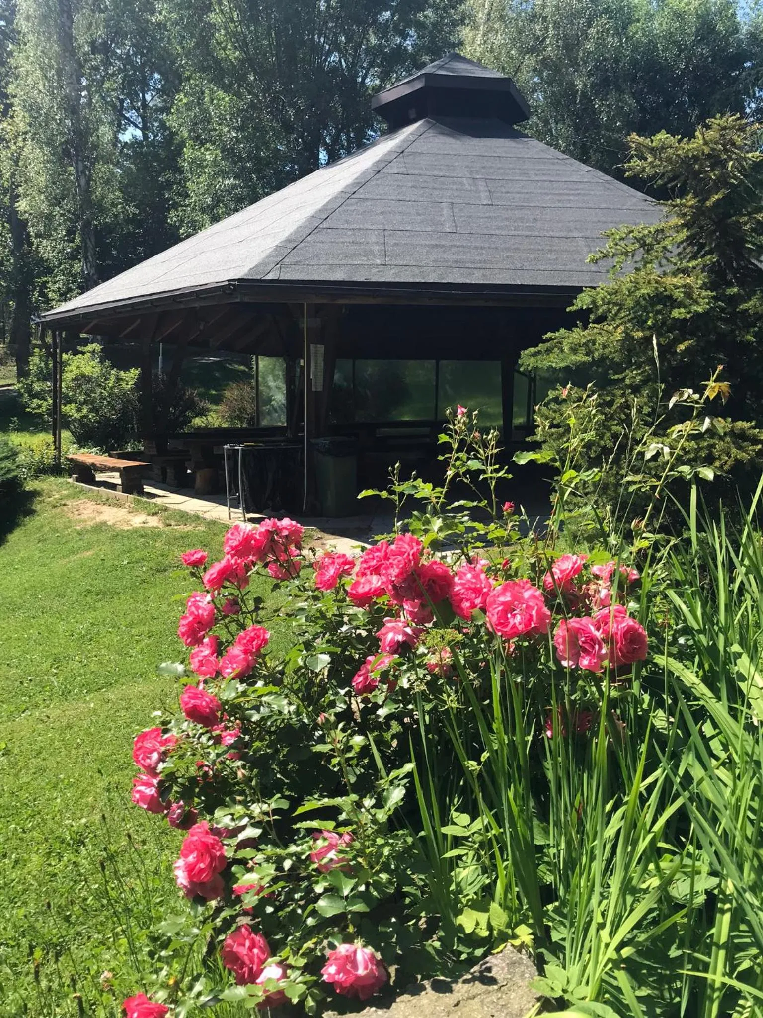 Garden in Centrum Wypoczynku ODYS