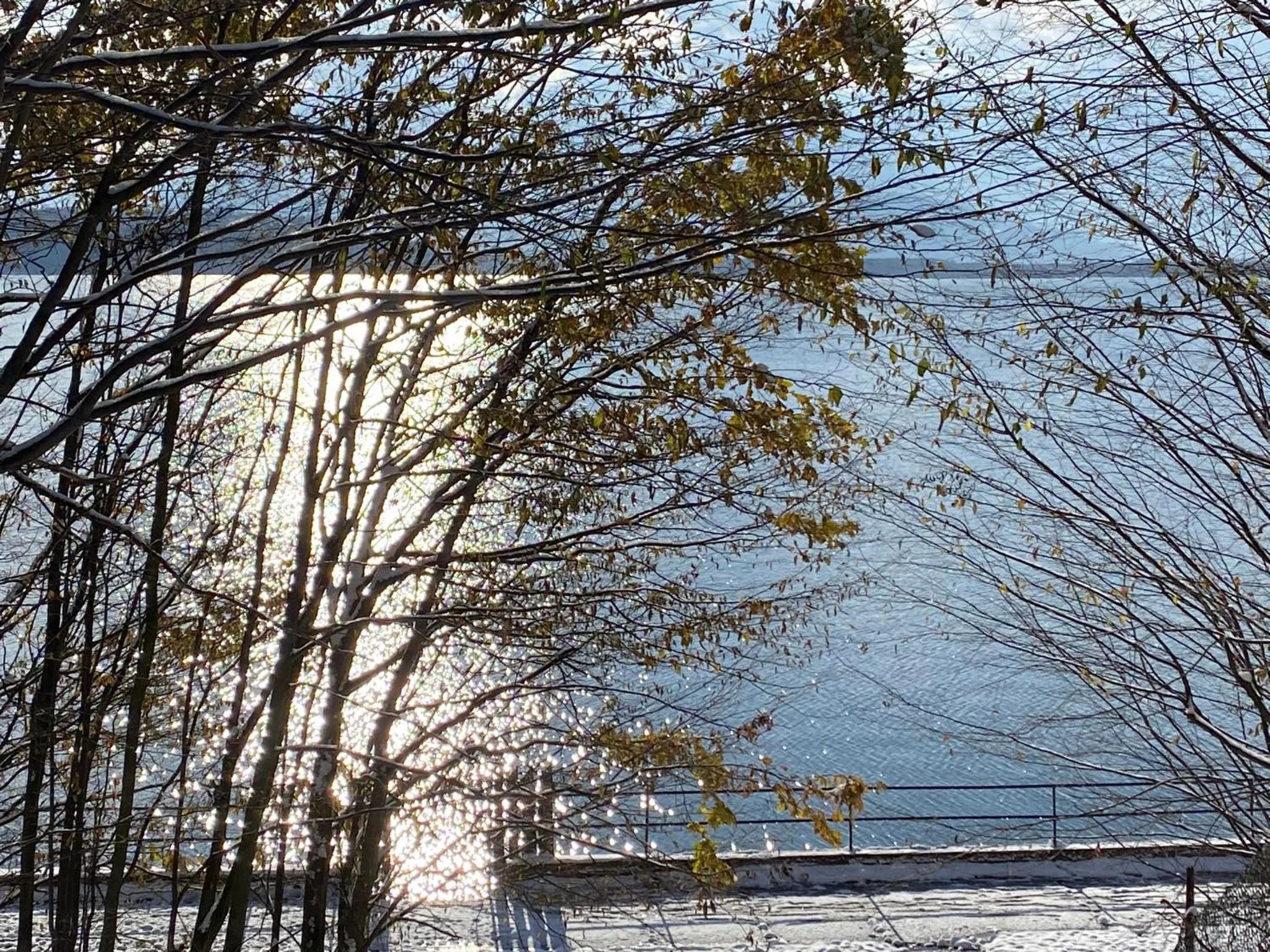 Lake view in Centrum Wypoczynku ODYS