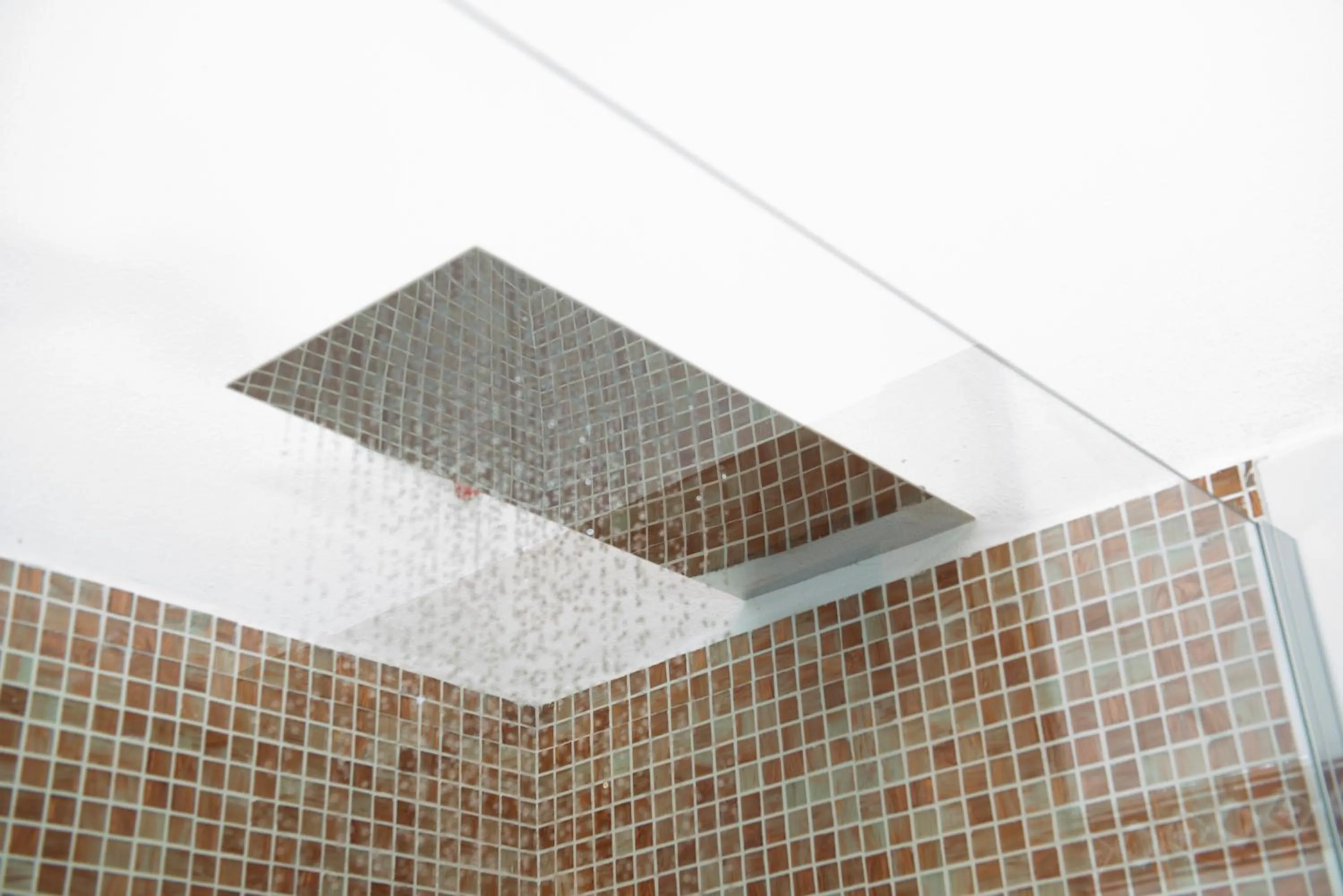 Shower in Hotel Al Terra Di Mare