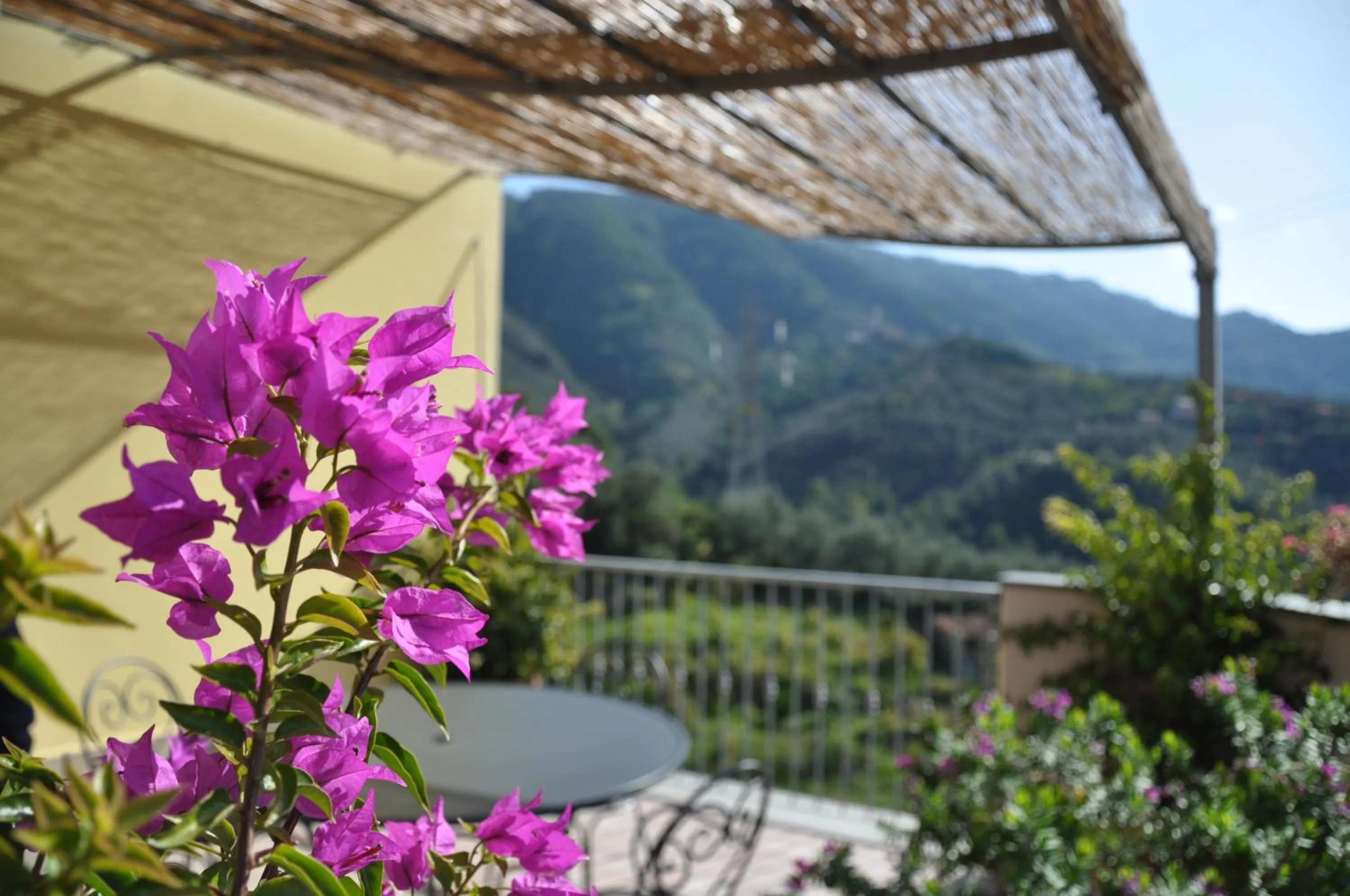 Property building in Hotel Al Terra Di Mare