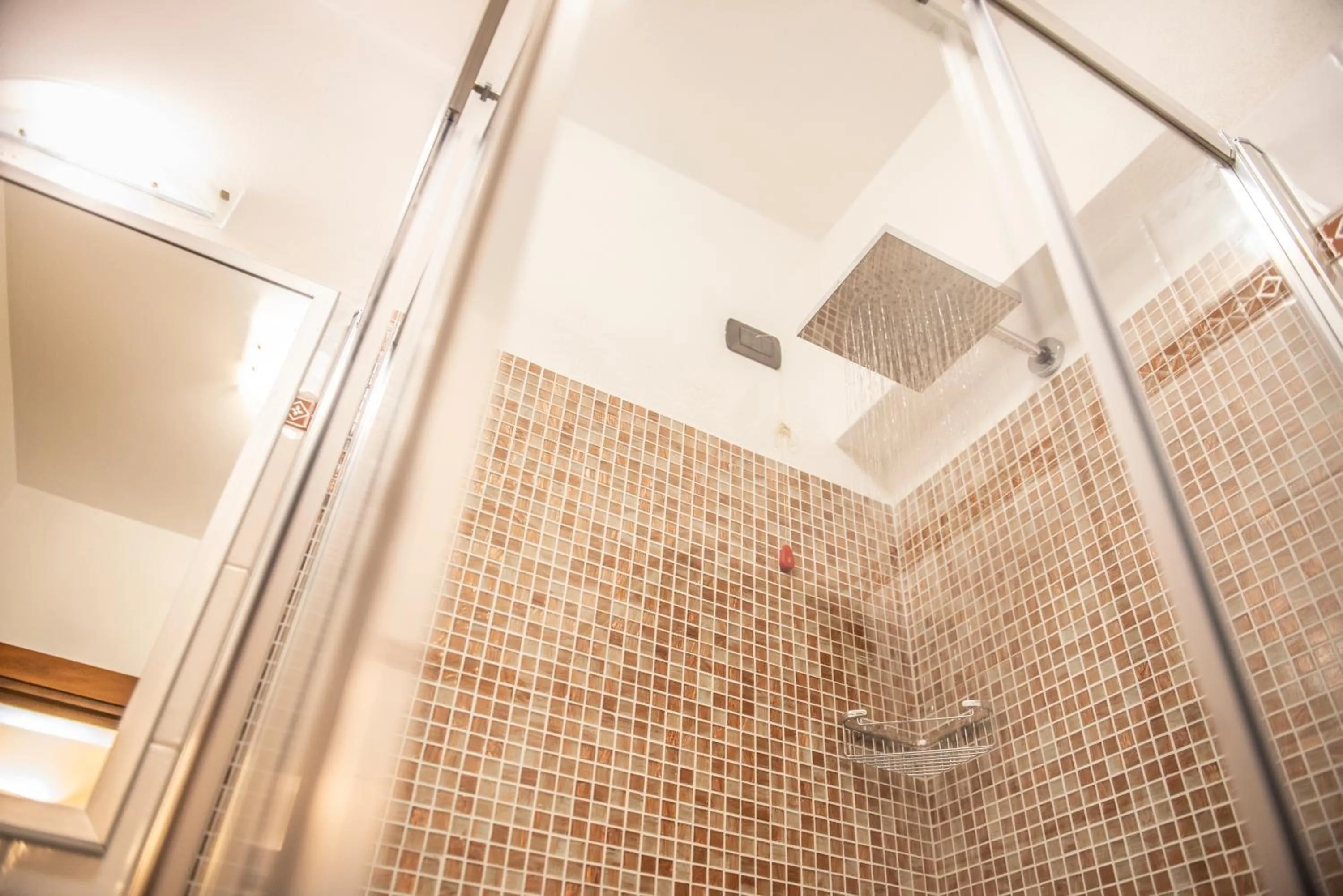 Shower in Hotel Al Terra Di Mare