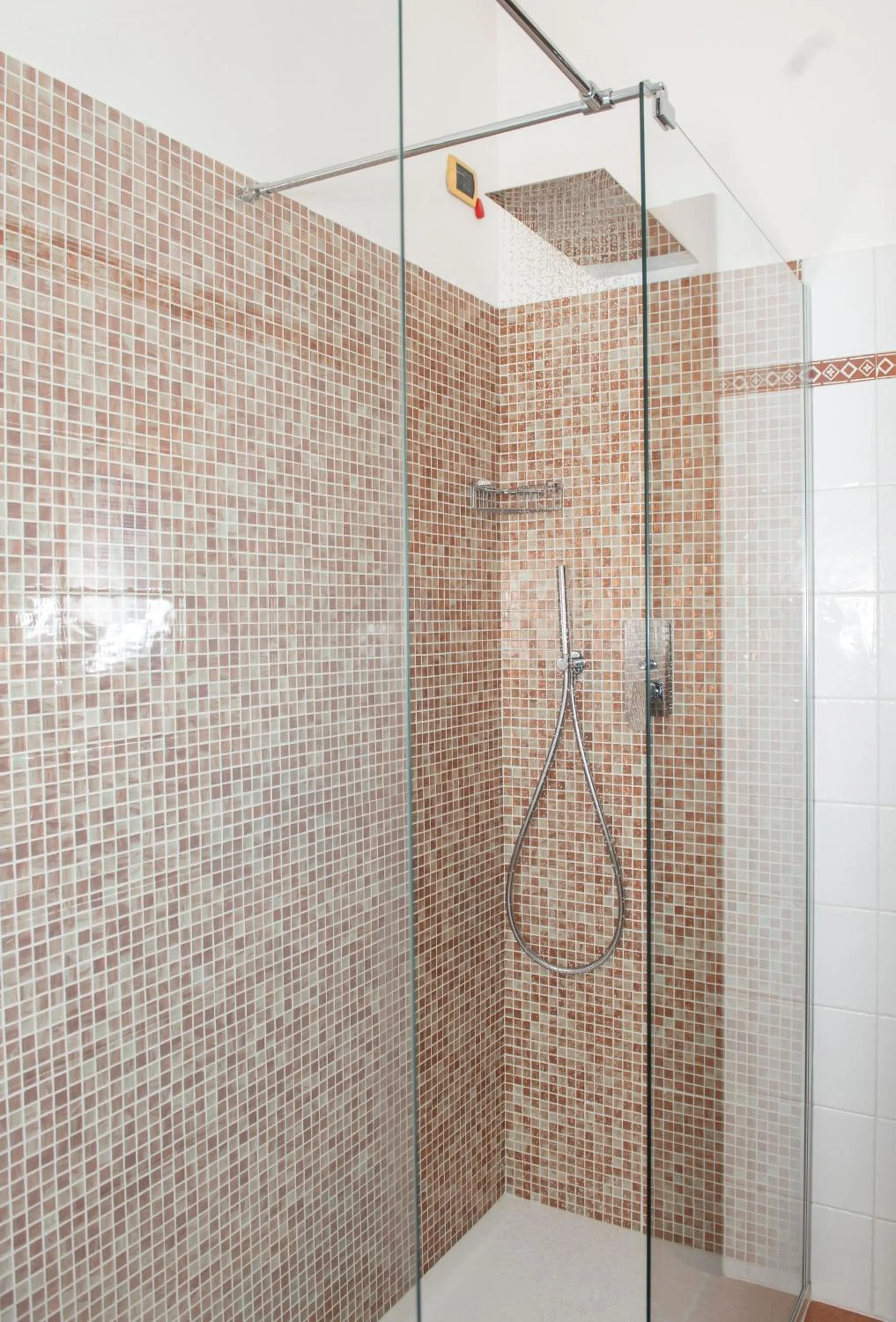 Shower in Hotel Al Terra Di Mare