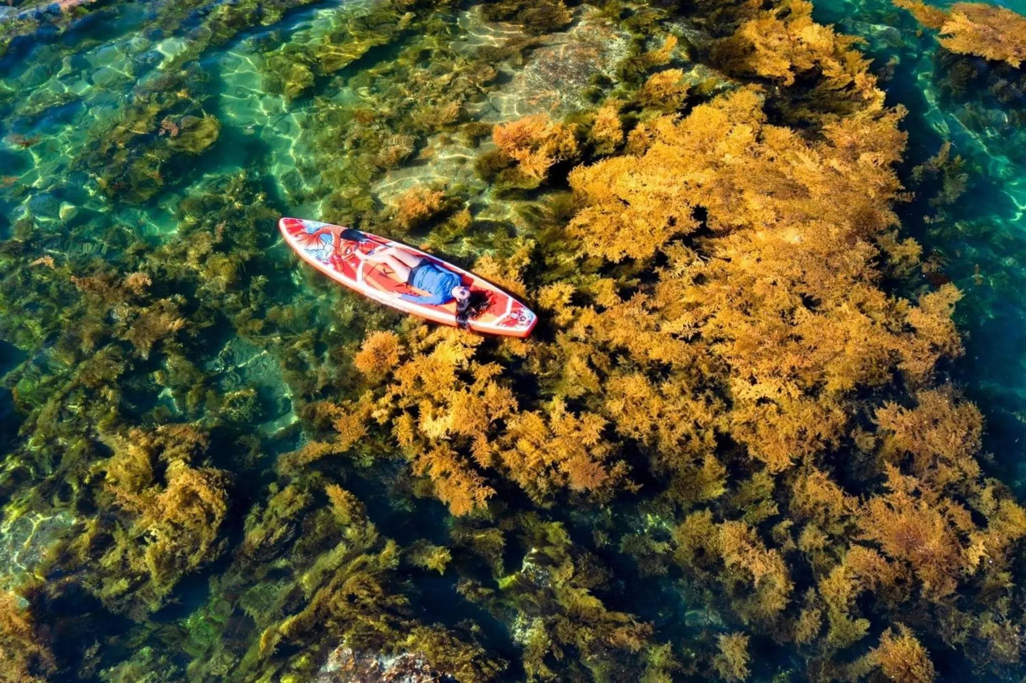 Natural landscape in HAKU Boutique Hotel Quy Nhơn Kim Đồng - Xuân Diệu