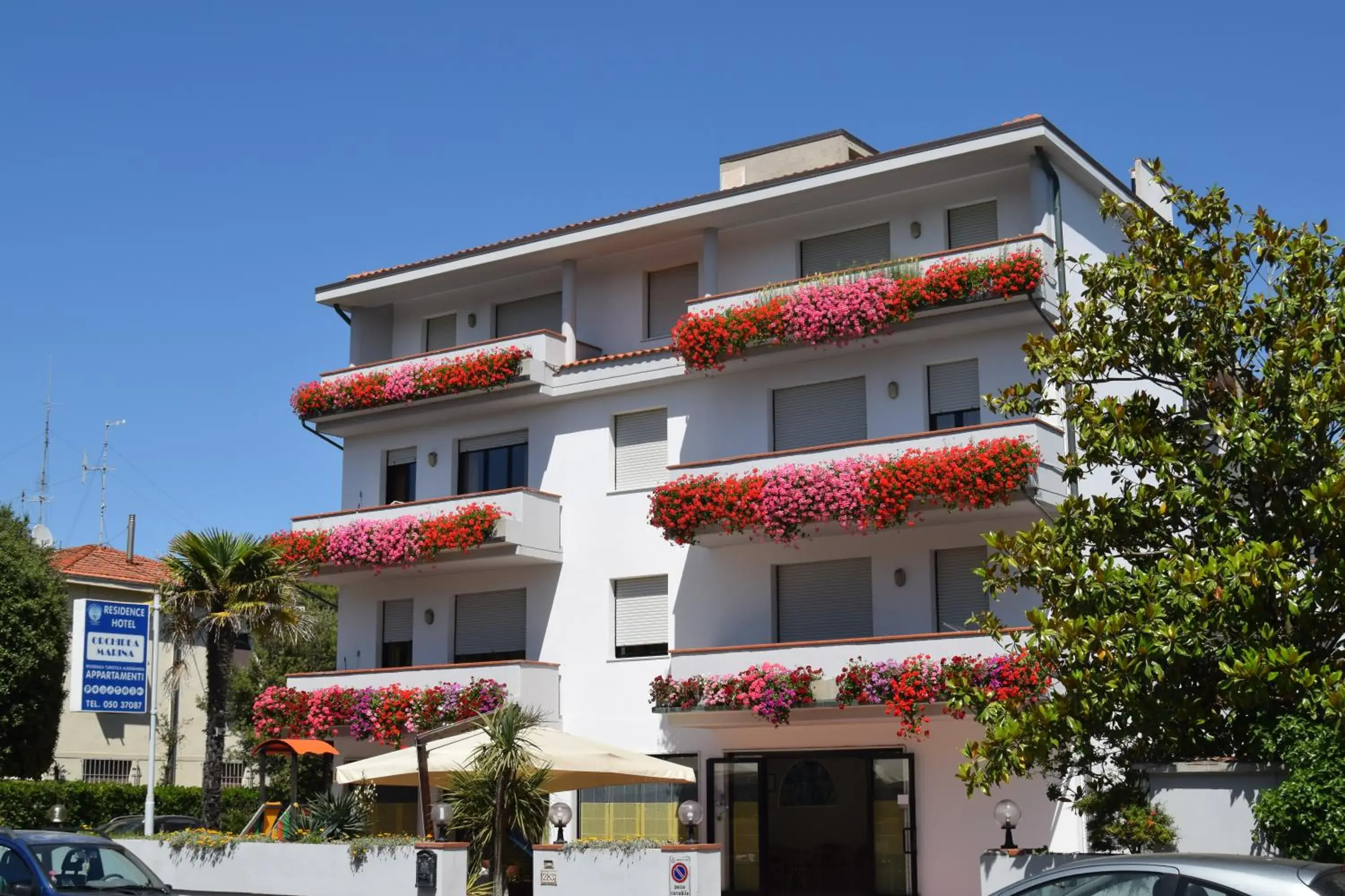 Orchidea Marina Orchidea Marina