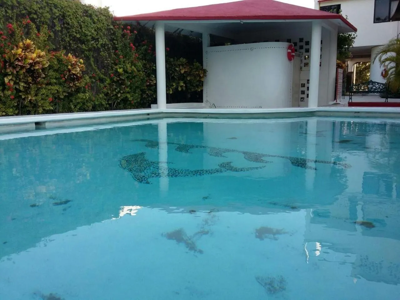 Swimming pool in Balcon Gueela