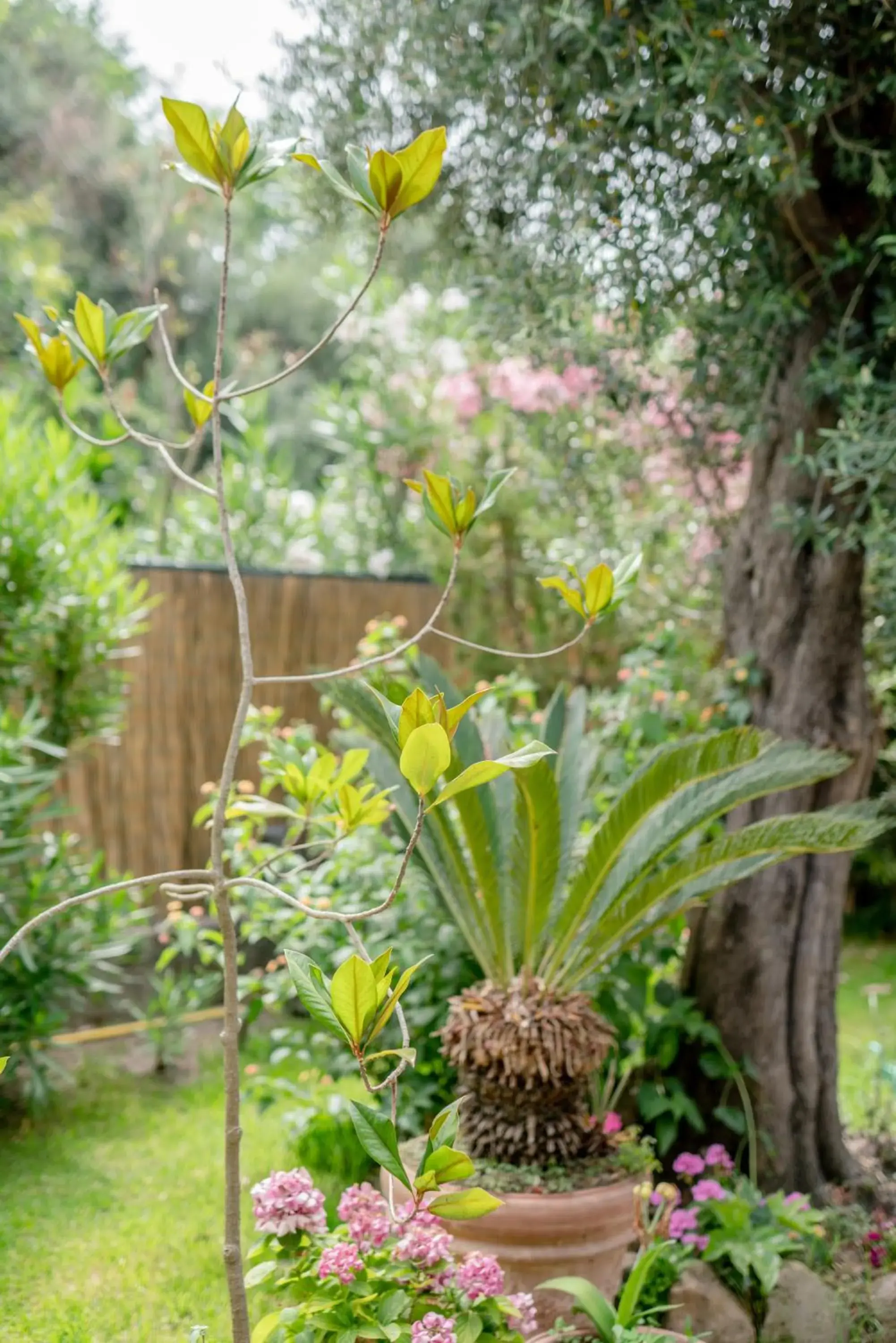 Property building in Solcalante Property building in Solcalante