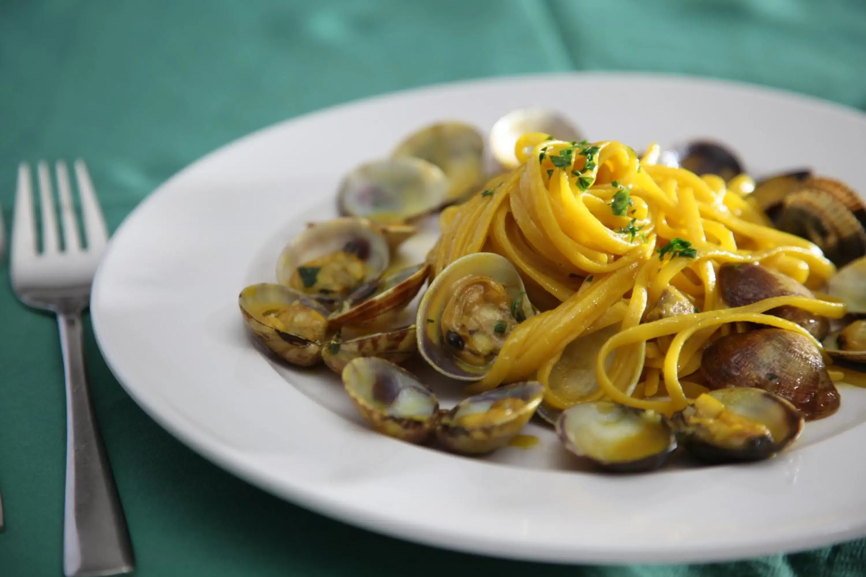 Food close-up in Solcalante Food close-up in Solcalante