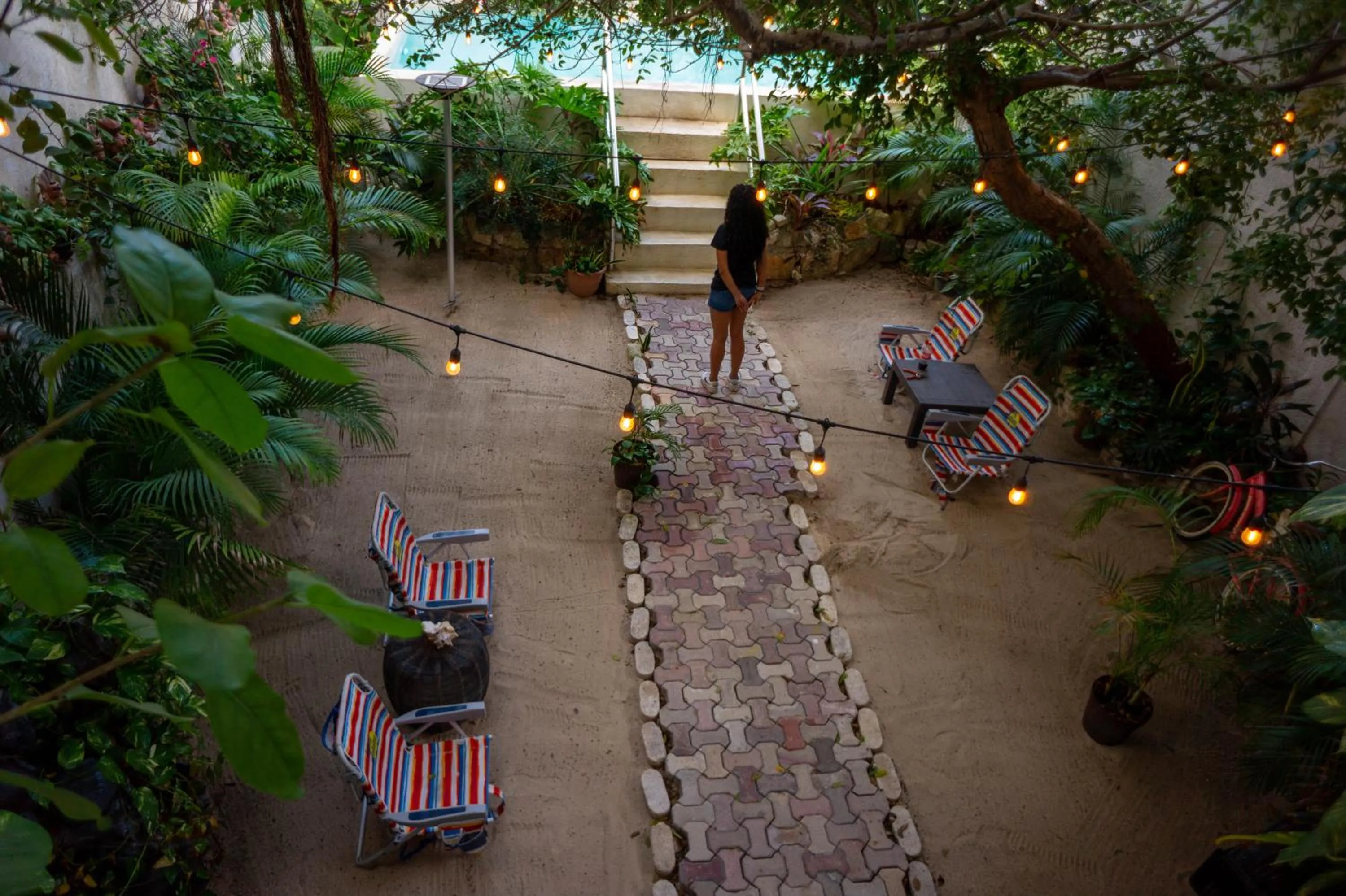 Garden view in Antillas