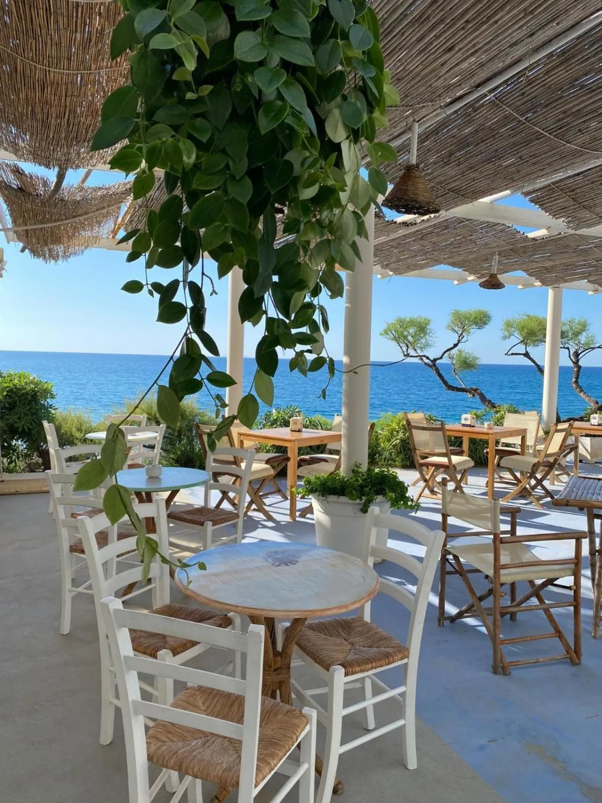 Restaurant/places to eat in Capo Nettuno Hotel