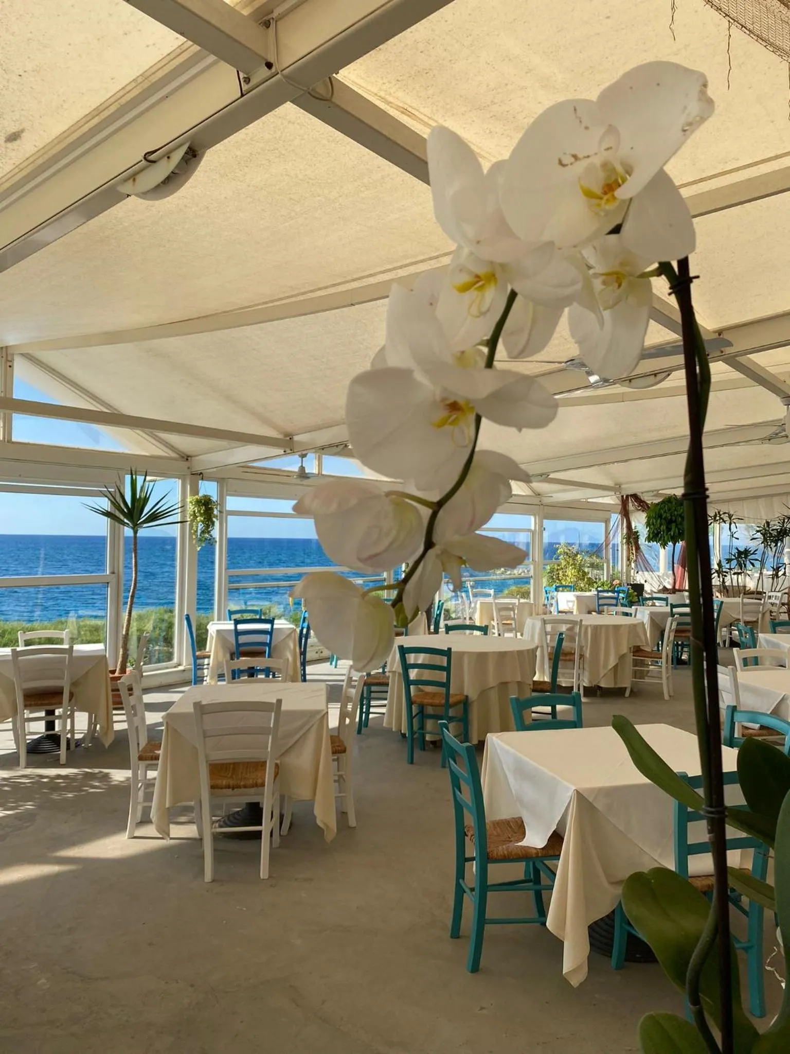 Restaurant/places to eat in Capo Nettuno Hotel