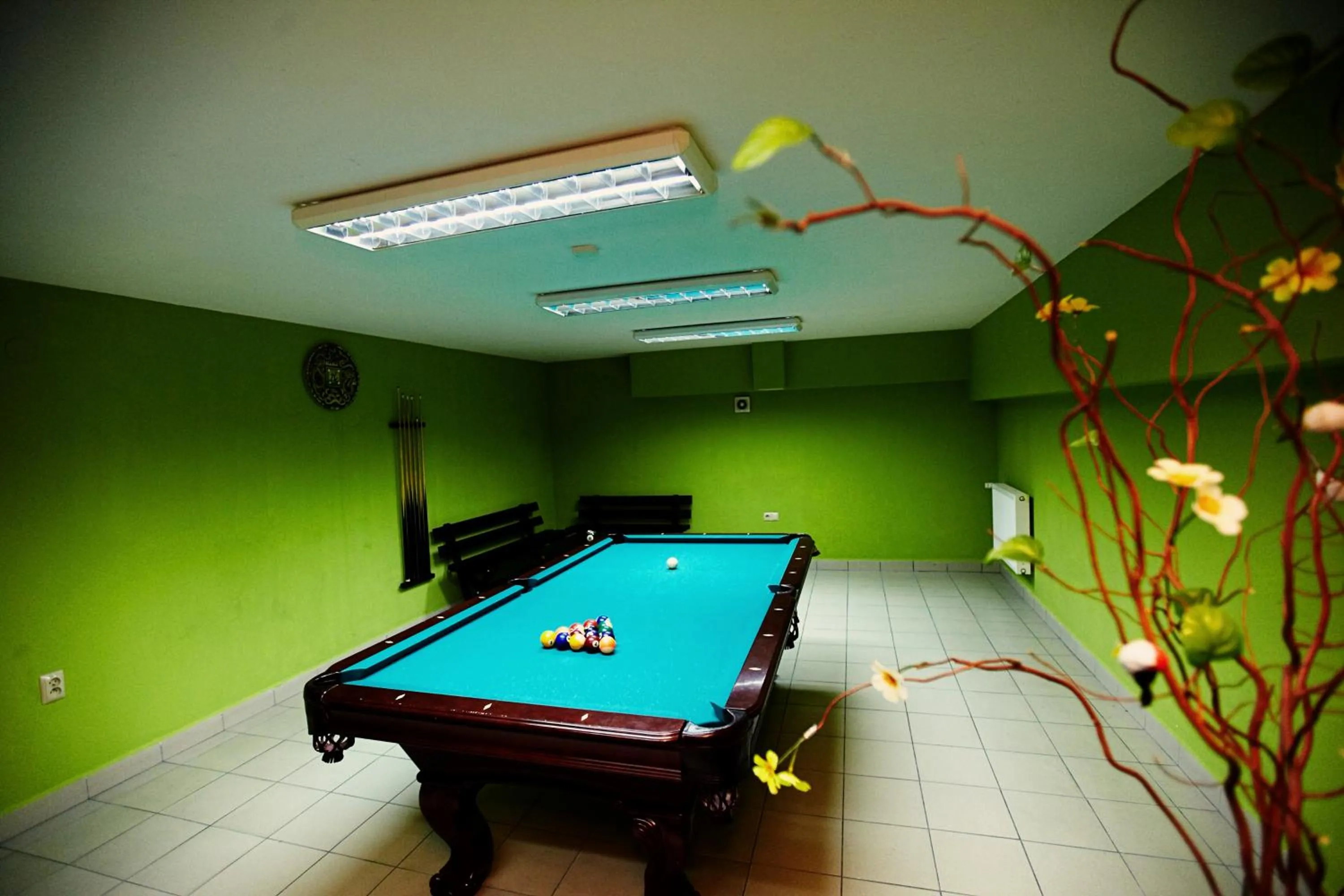 Activities in Hotel Dukat