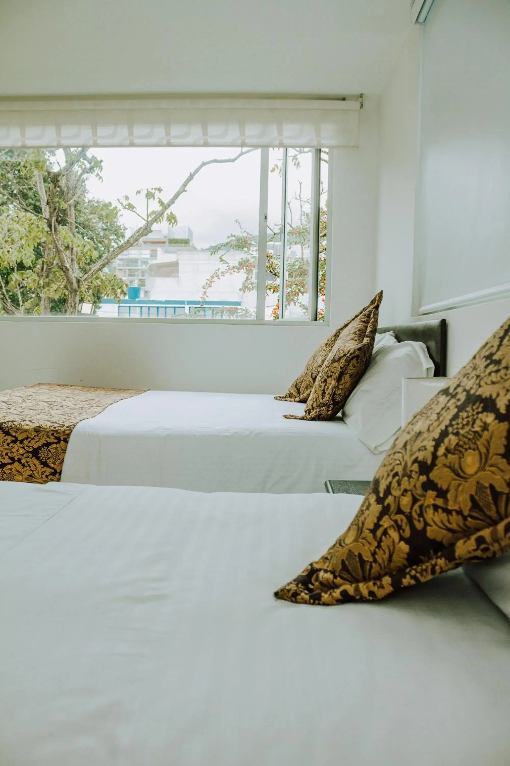 Double or Twin Room - single occupancy in Hotel Parque Reservado Double or Twin Room - single occupancy in Hotel Parque Reservado