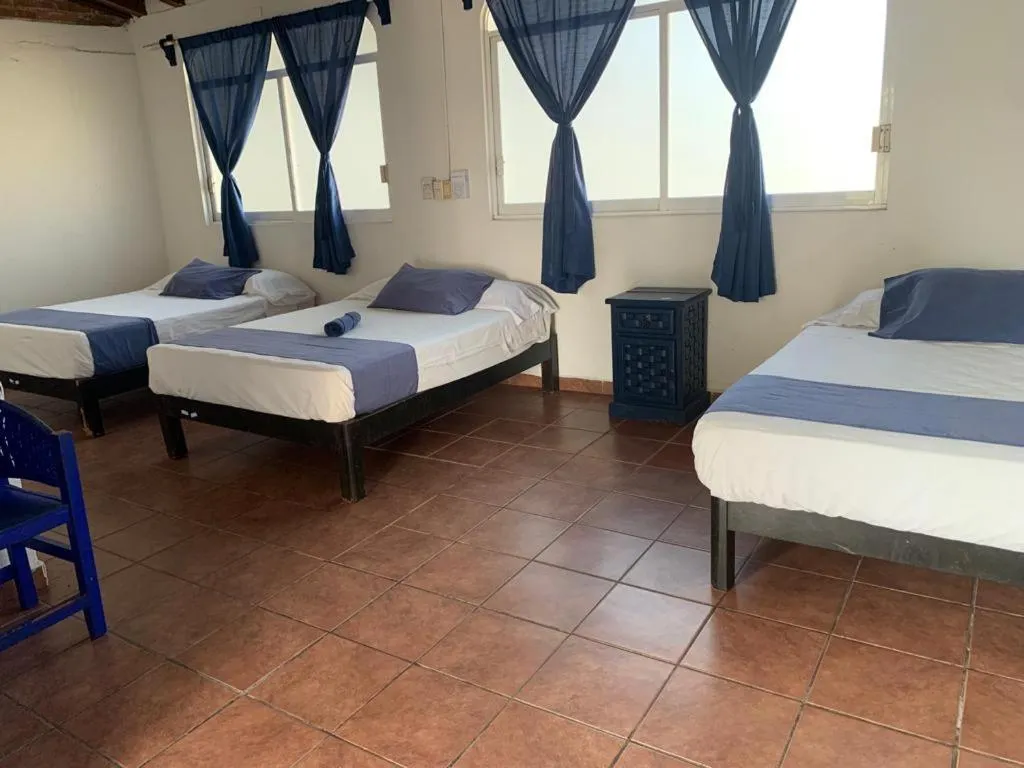 Photo of the whole room in MayFlower Hotel & Hostal