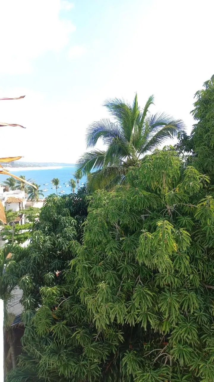 Natural landscape in MayFlower Hotel & Hostal