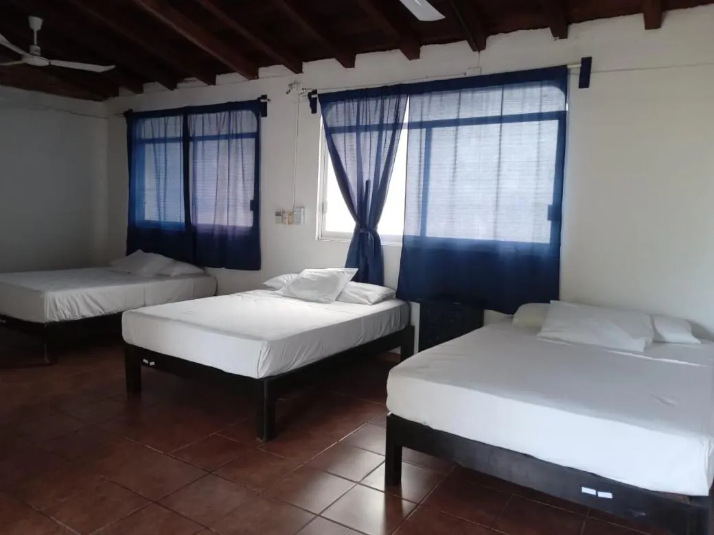 Bed in MayFlower Hotel & Hostal