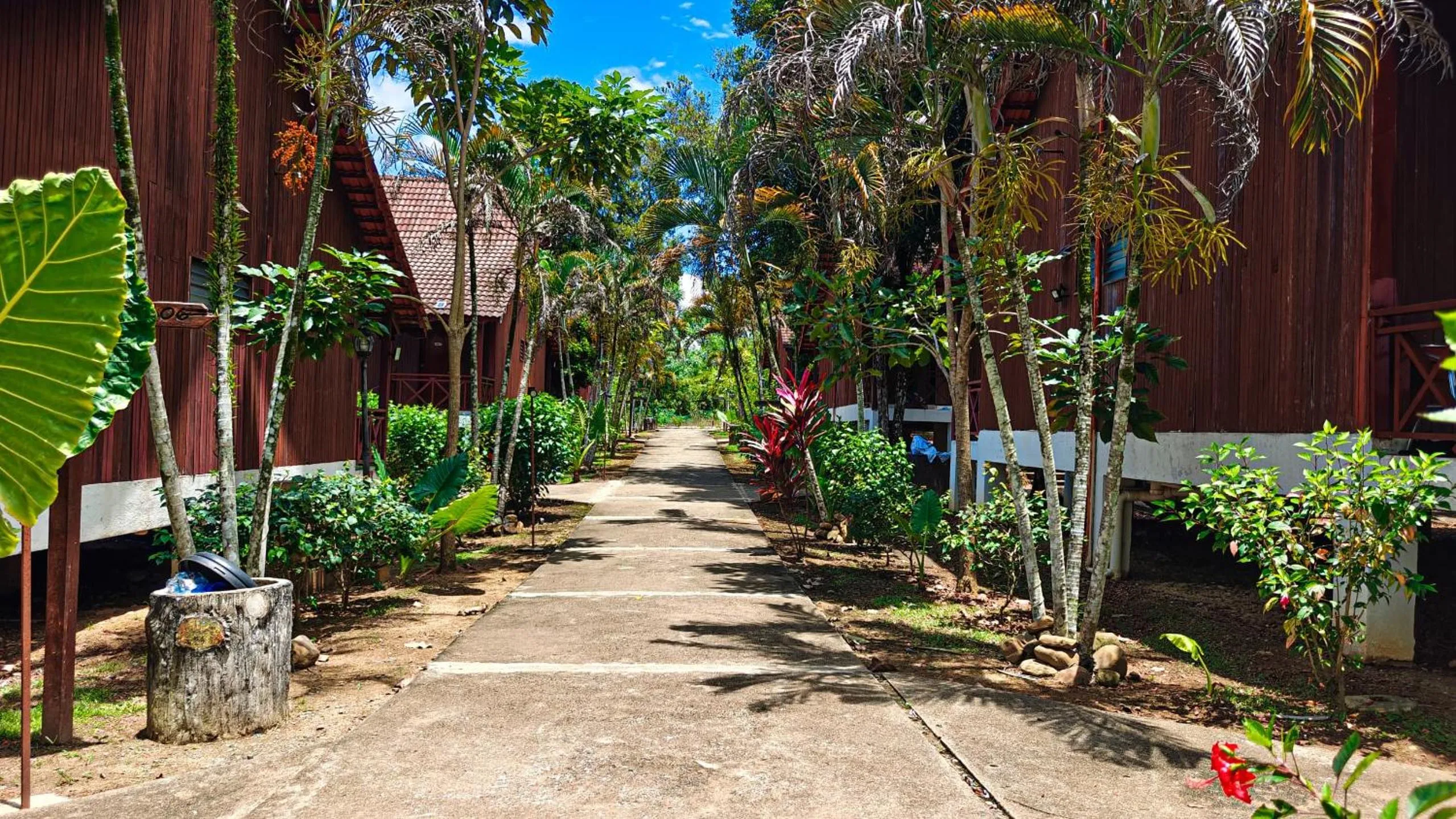 Tekoma Resort Taman Negara