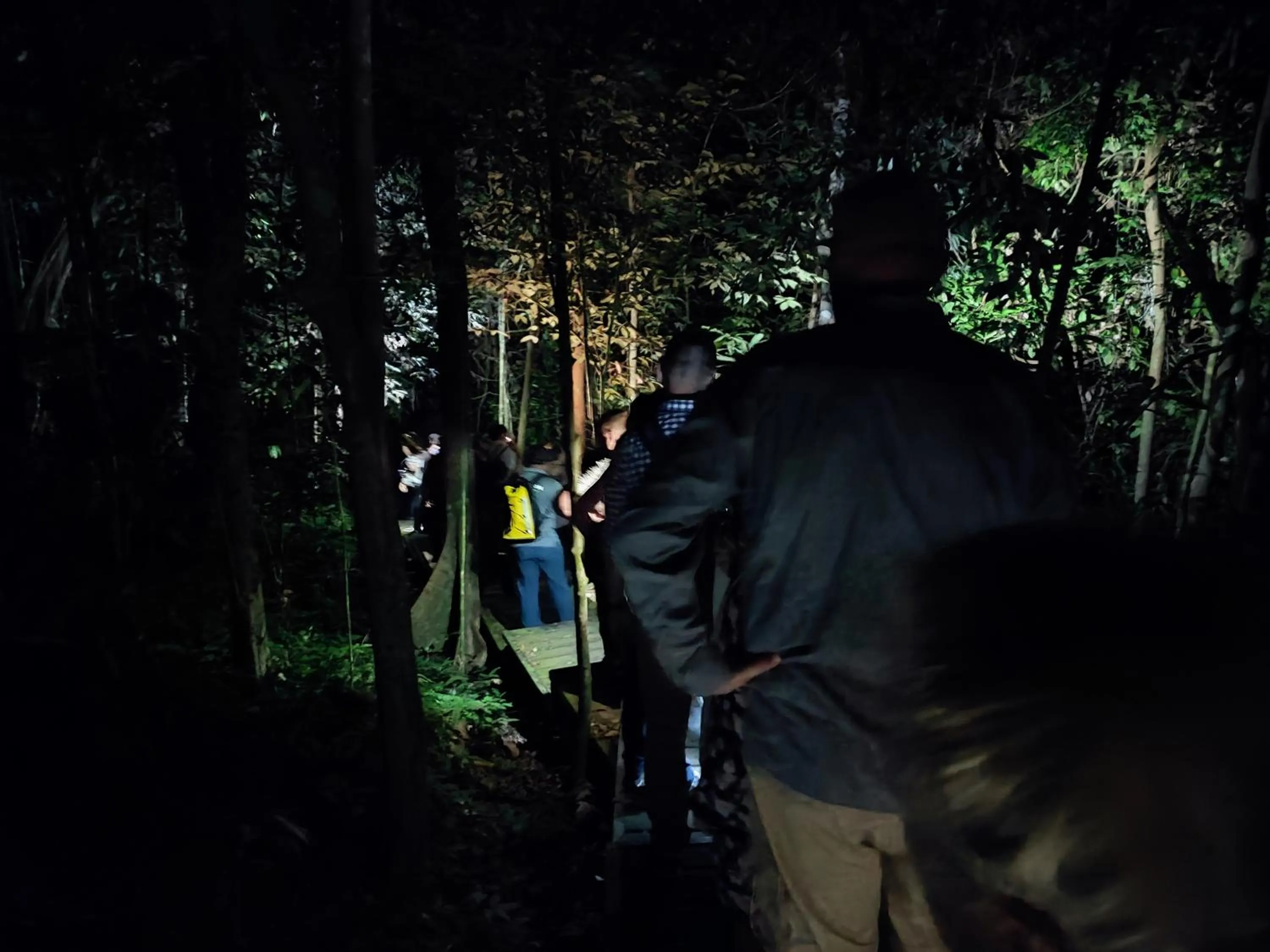 Night in Tekoma Resort Taman Negara