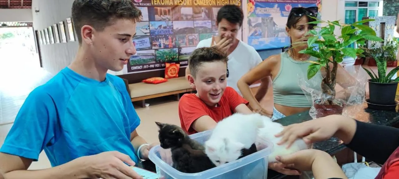 Tekoma Resort Taman Negara