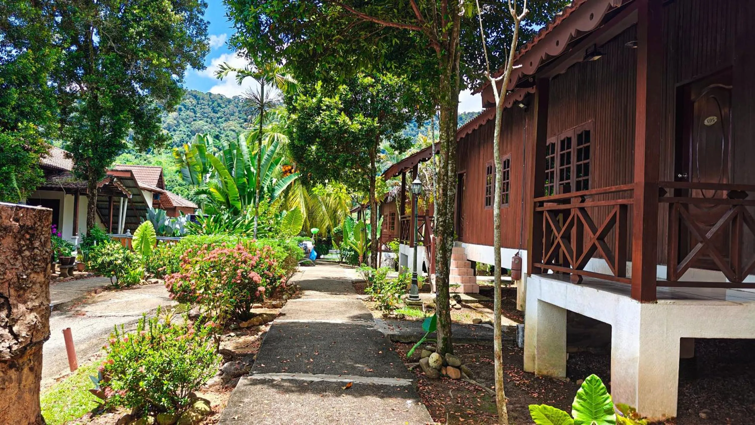 Garden in Tekoma Resort Taman Negara