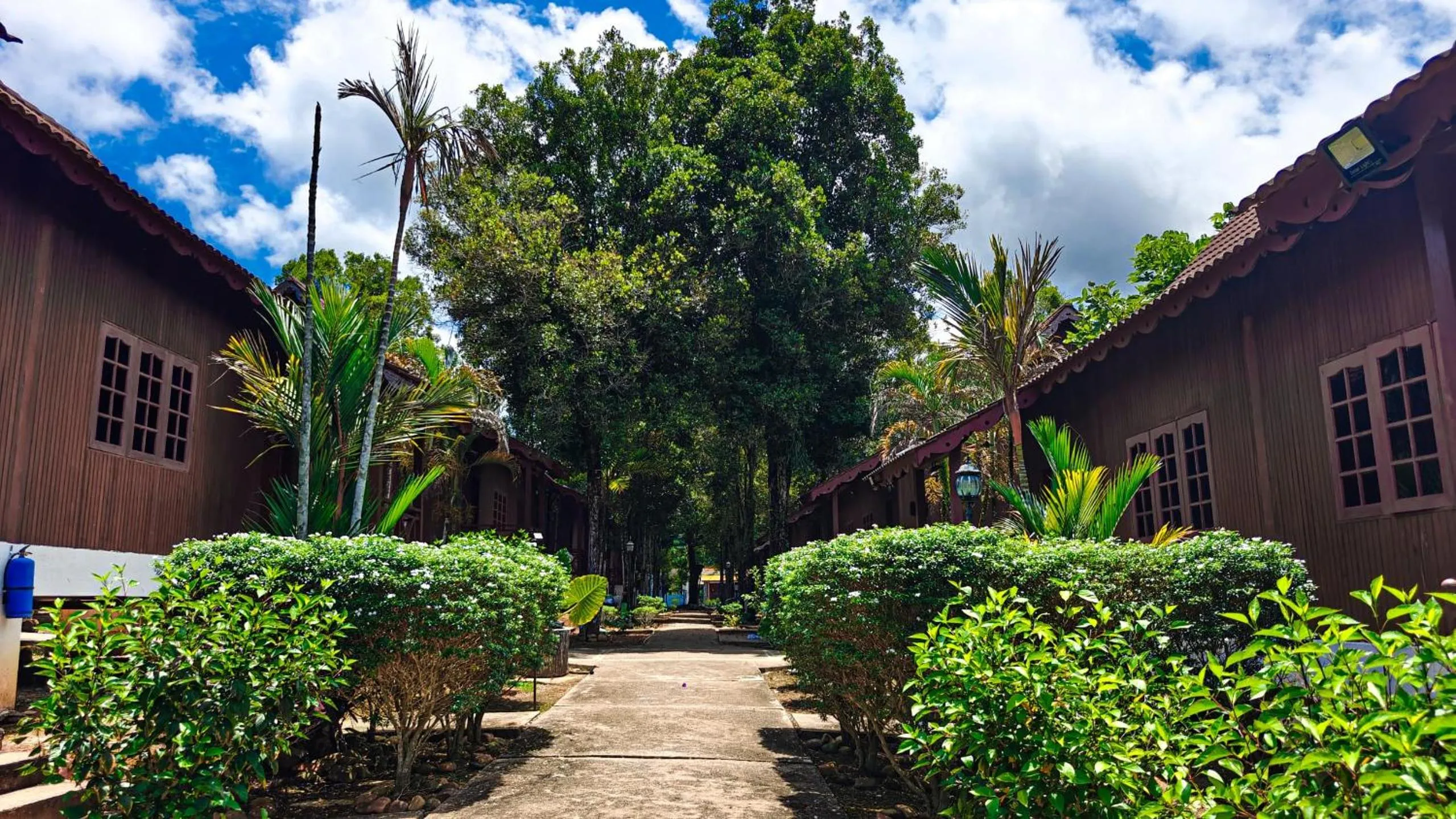 Tekoma Resort Taman Negara