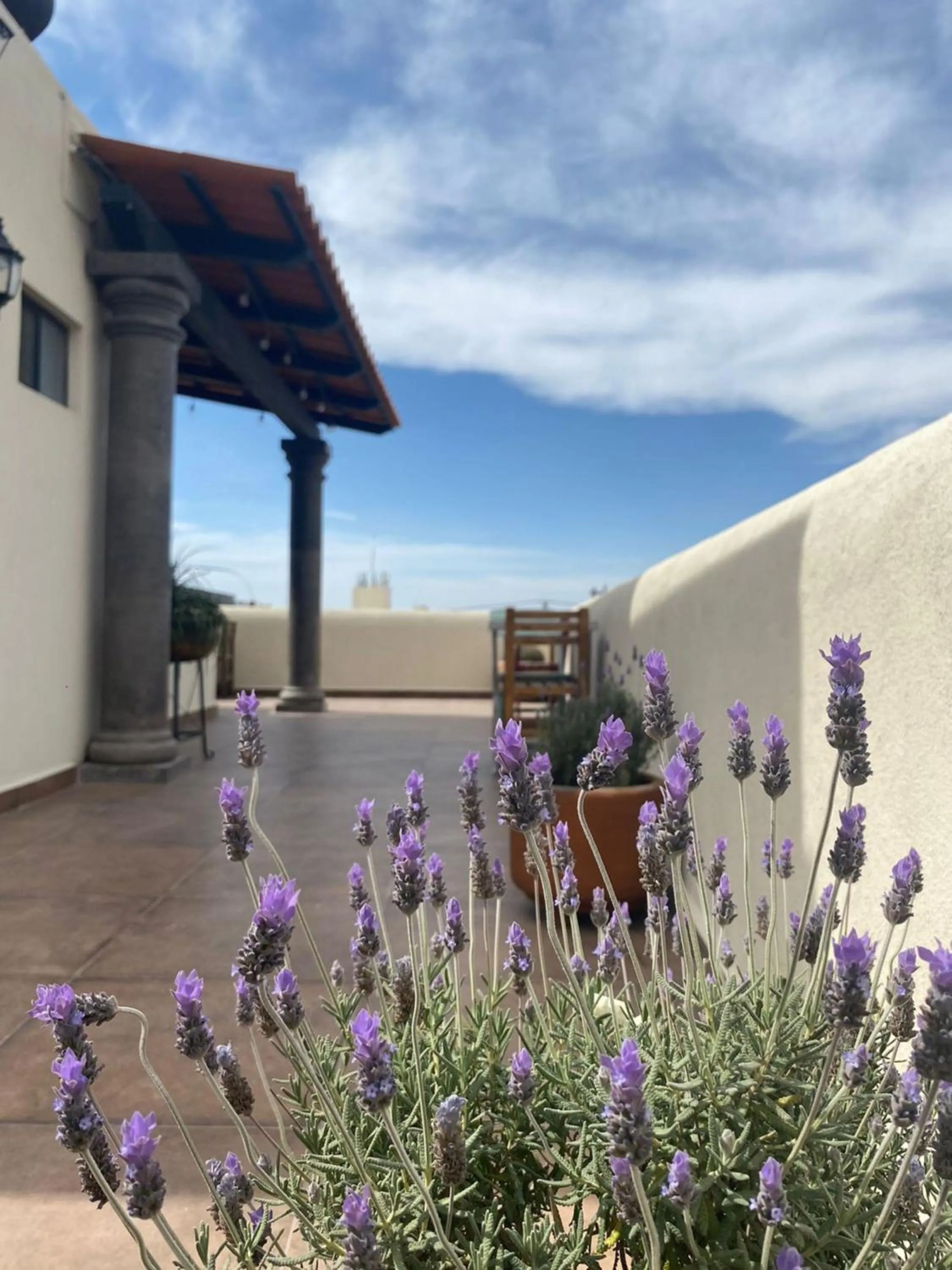 Property building in Hotel La Lejona