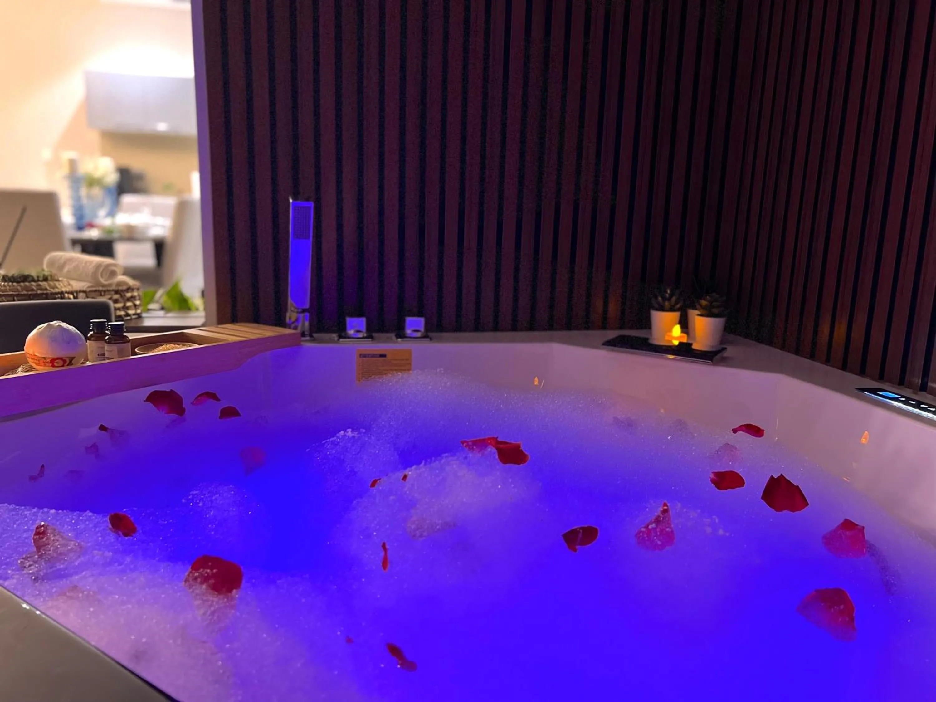 Stylish Apartment with a Jacuzzi (Park&Pool View)