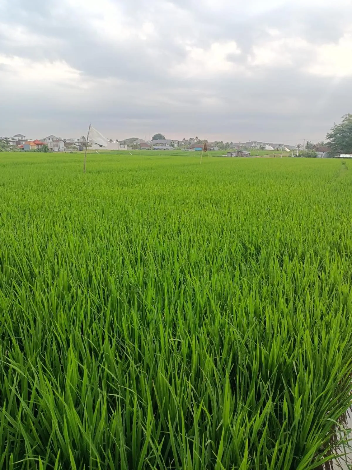 Day in The Kd Suites & Coffee Shop