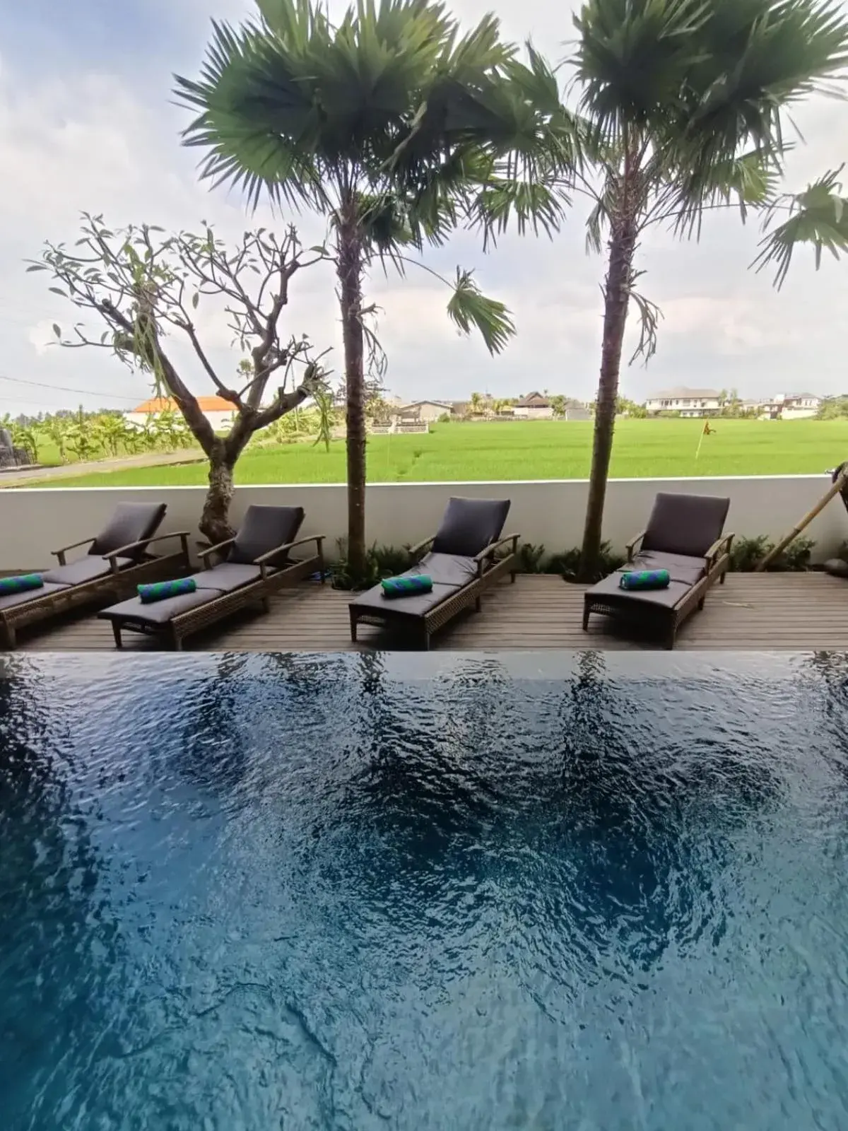 Pool view in The Kd Suites & Coffee Shop Pool view in The Kd Suites & Coffee Shop