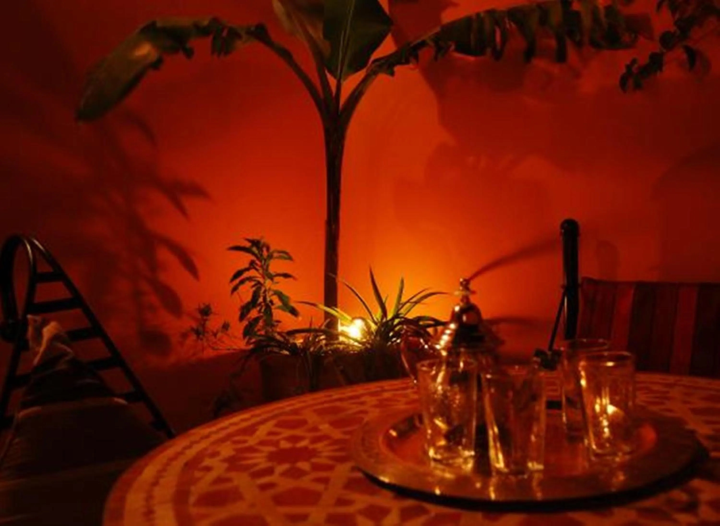 Balcony/Terrace in Riad La Perle de Marrakech