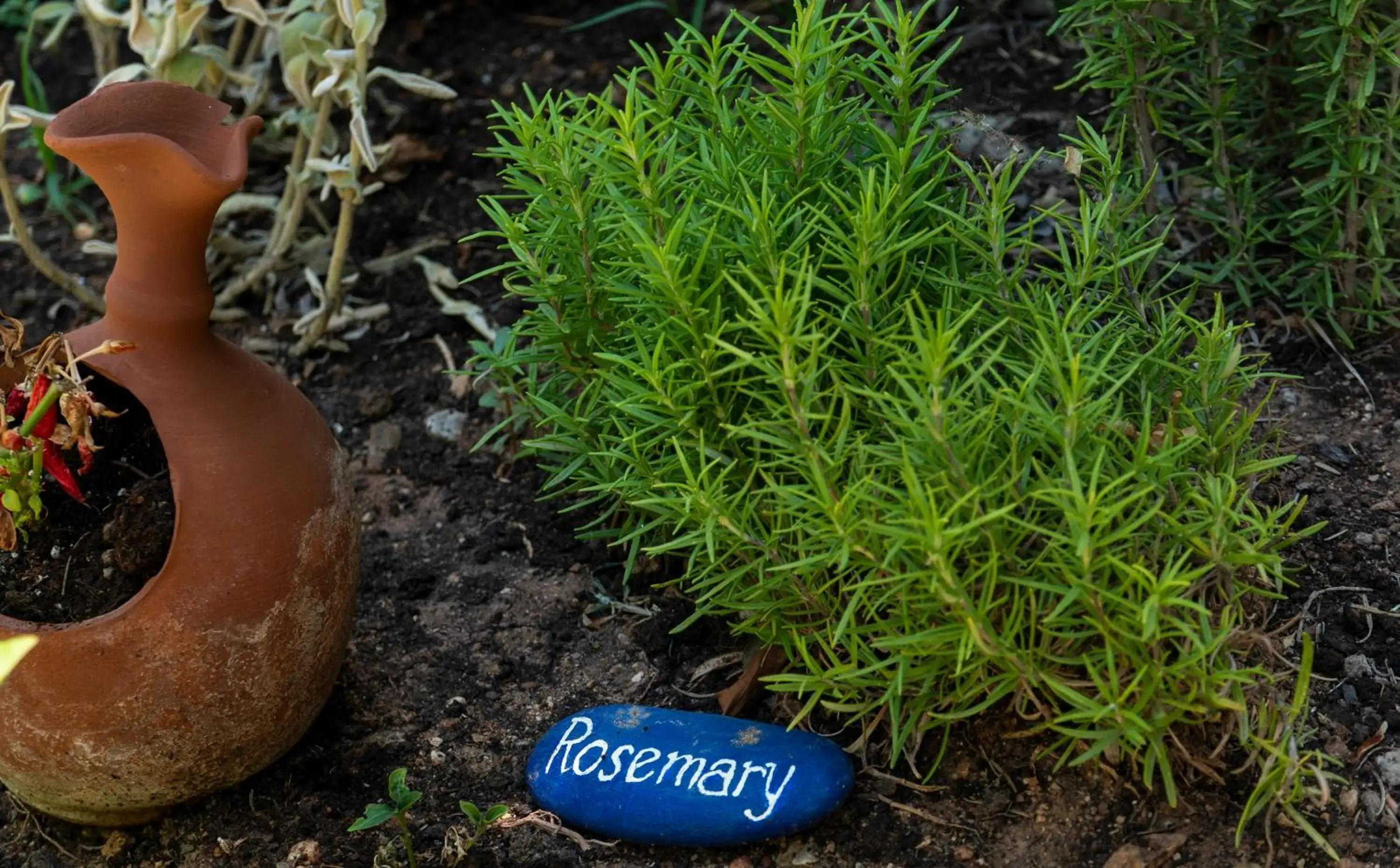 Property building in Villea Village Property building in Villea Village