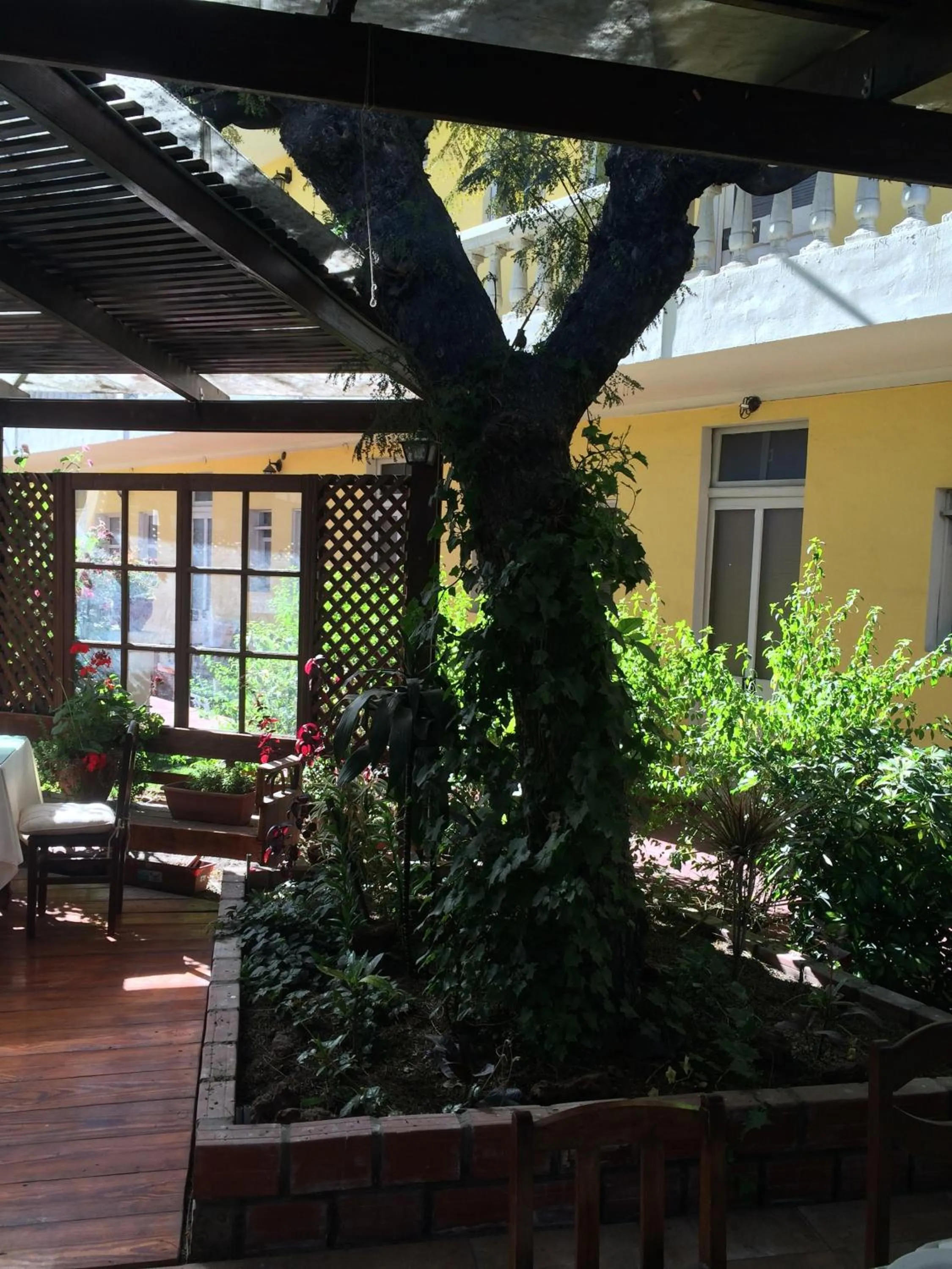 Restaurant/places to eat in Casa de Avila