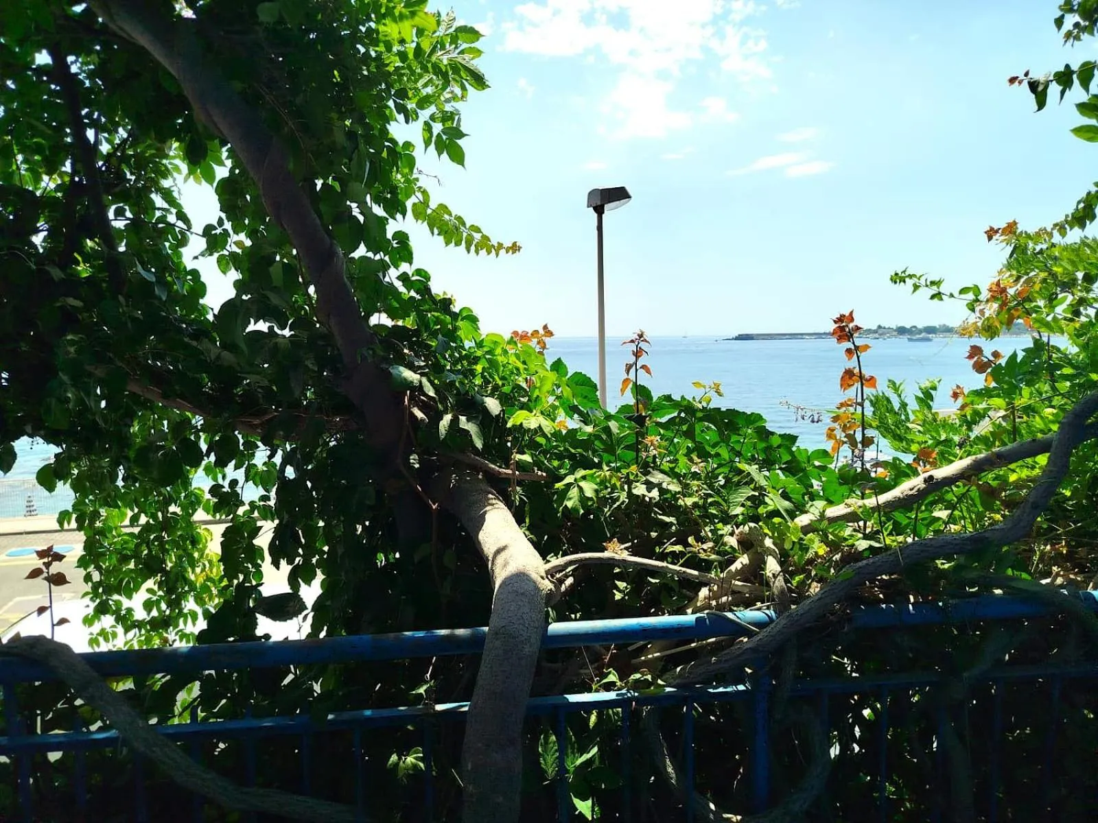 Natural landscape in Hotel Palladio