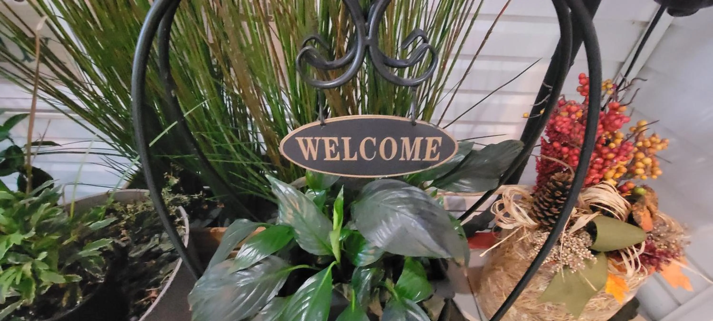 Logo/Certificate/Sign in Kokomo INN Bed and Breakfast Ottawa-Gatineau's Only Tropical Riverfront B&B on the National Capital Cycling Pathway Route Verte #1 - for Adults Only - Chambre d'hôtes tropical aux berges des Outaouais BnB #17542O